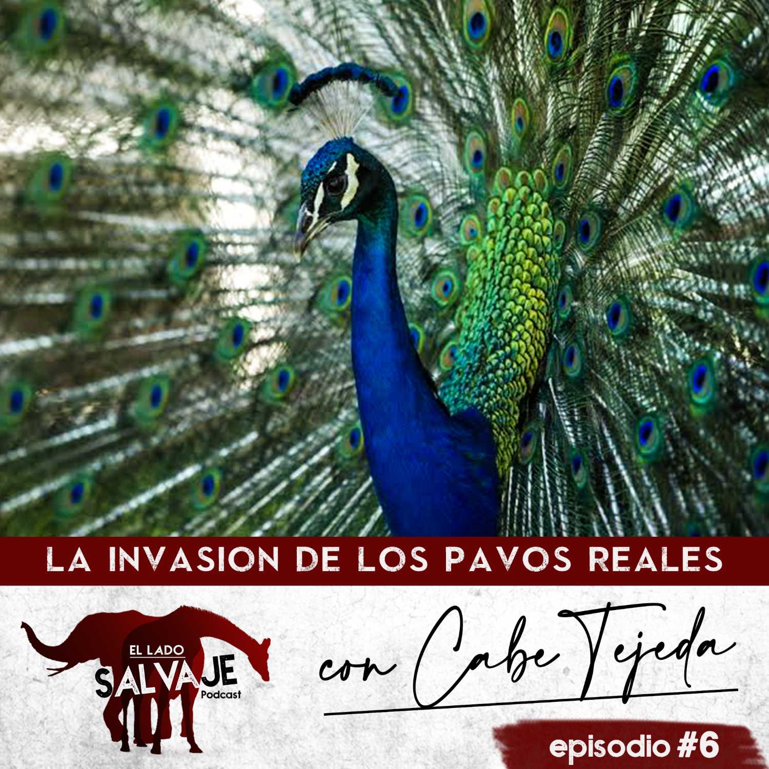 El Lado Salvaje