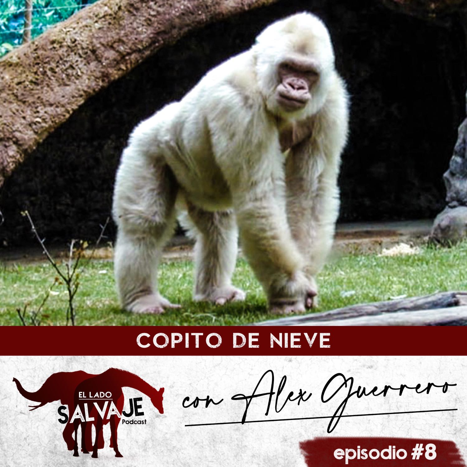 El Lado Salvaje