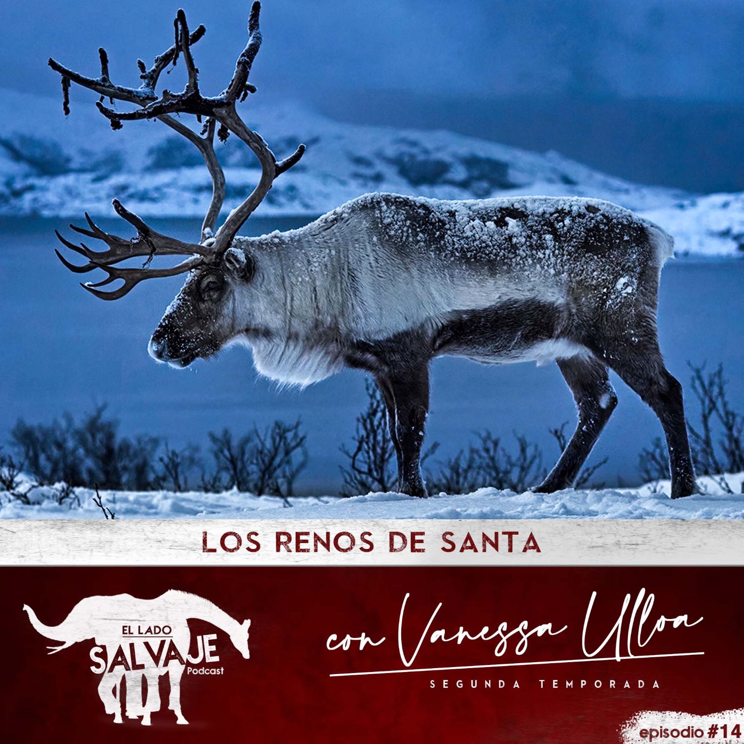 El Lado Salvaje