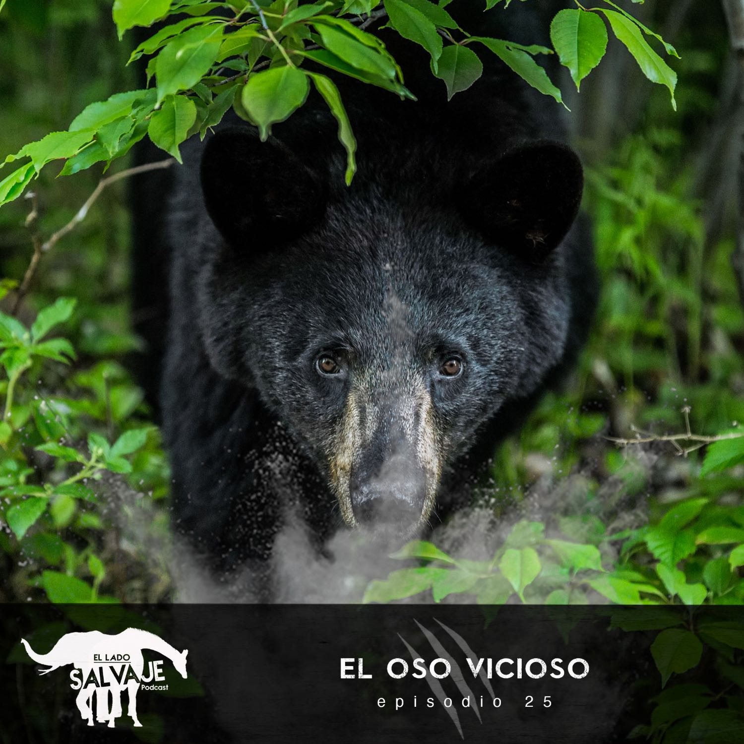 El Lado Salvaje
