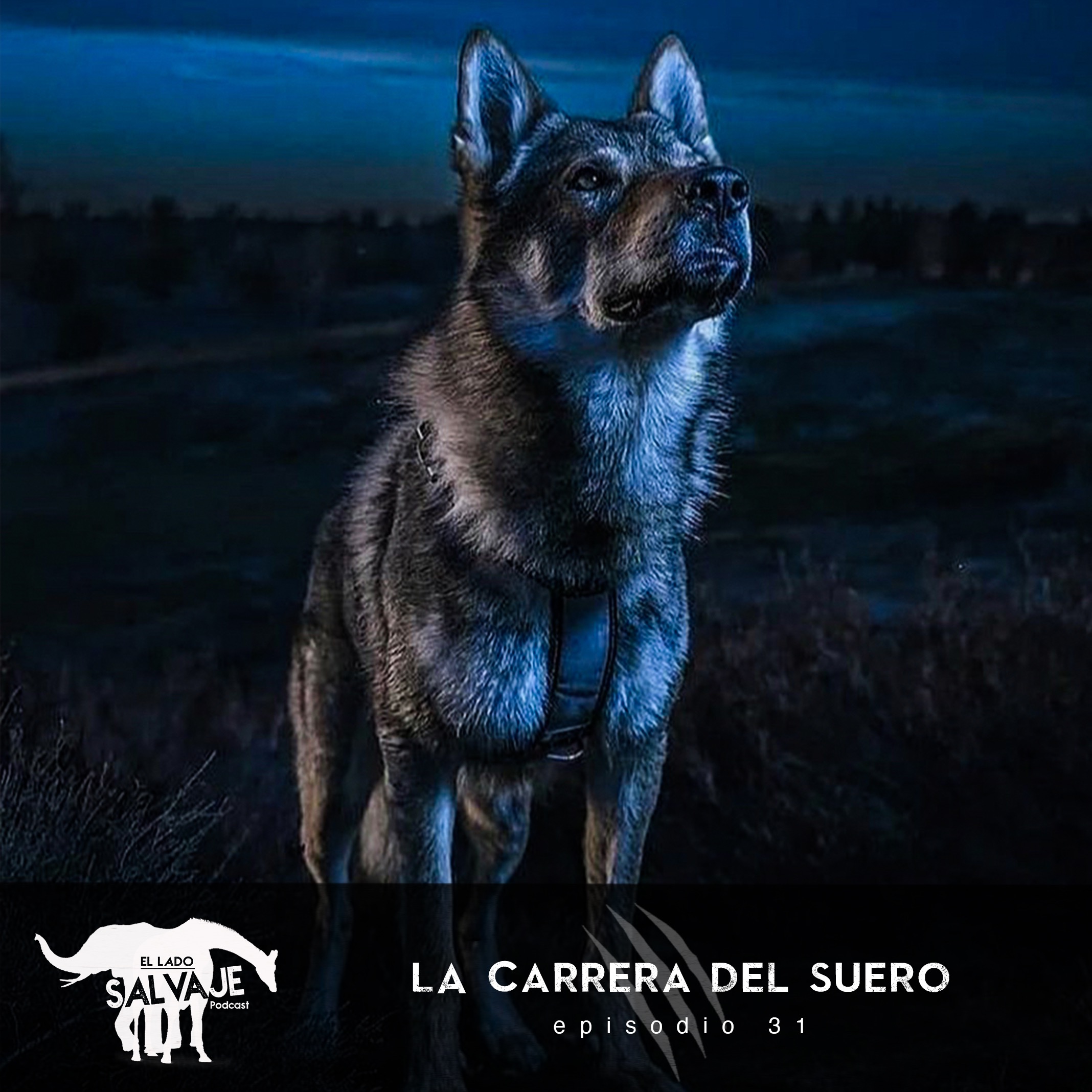 El Lado Salvaje