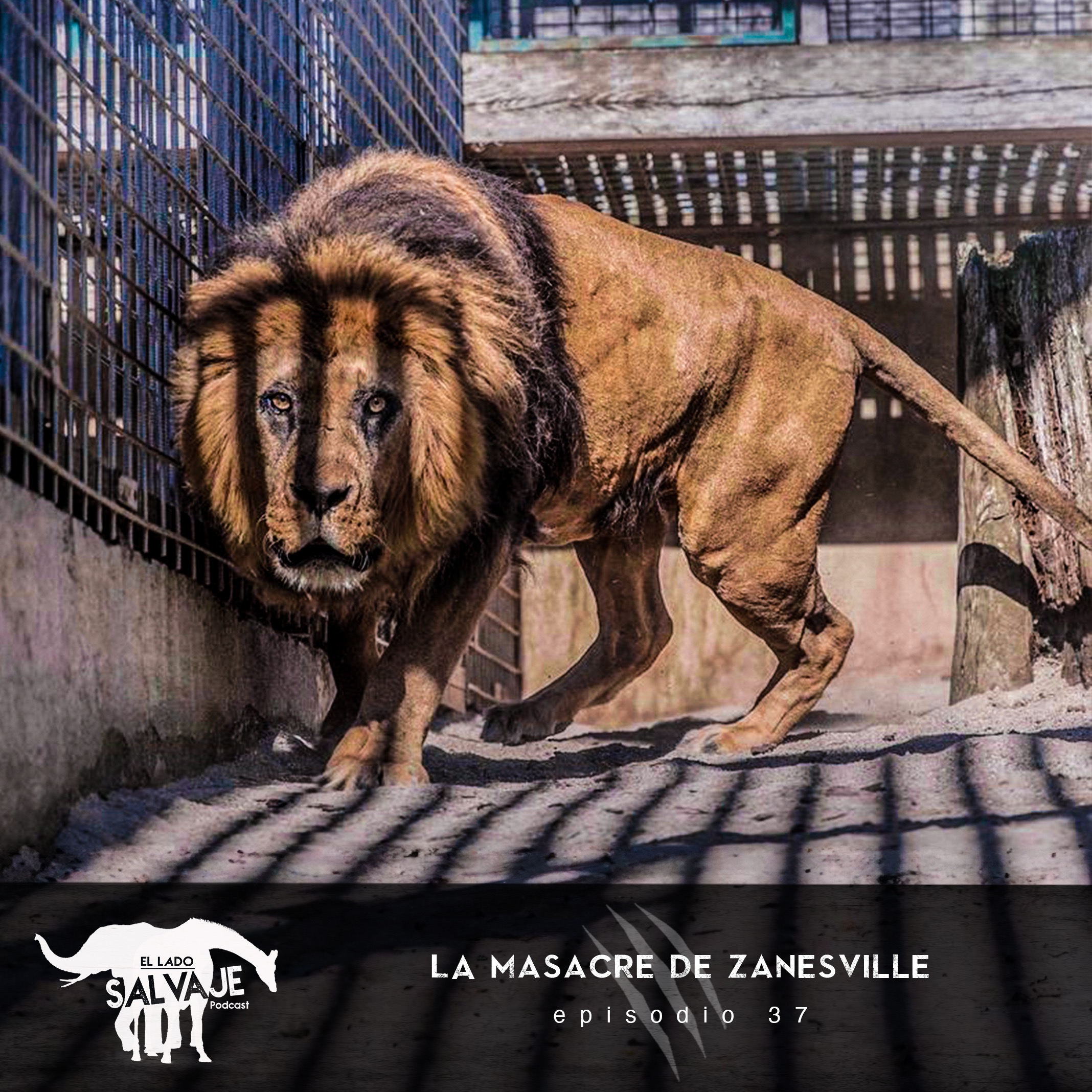 El Lado Salvaje