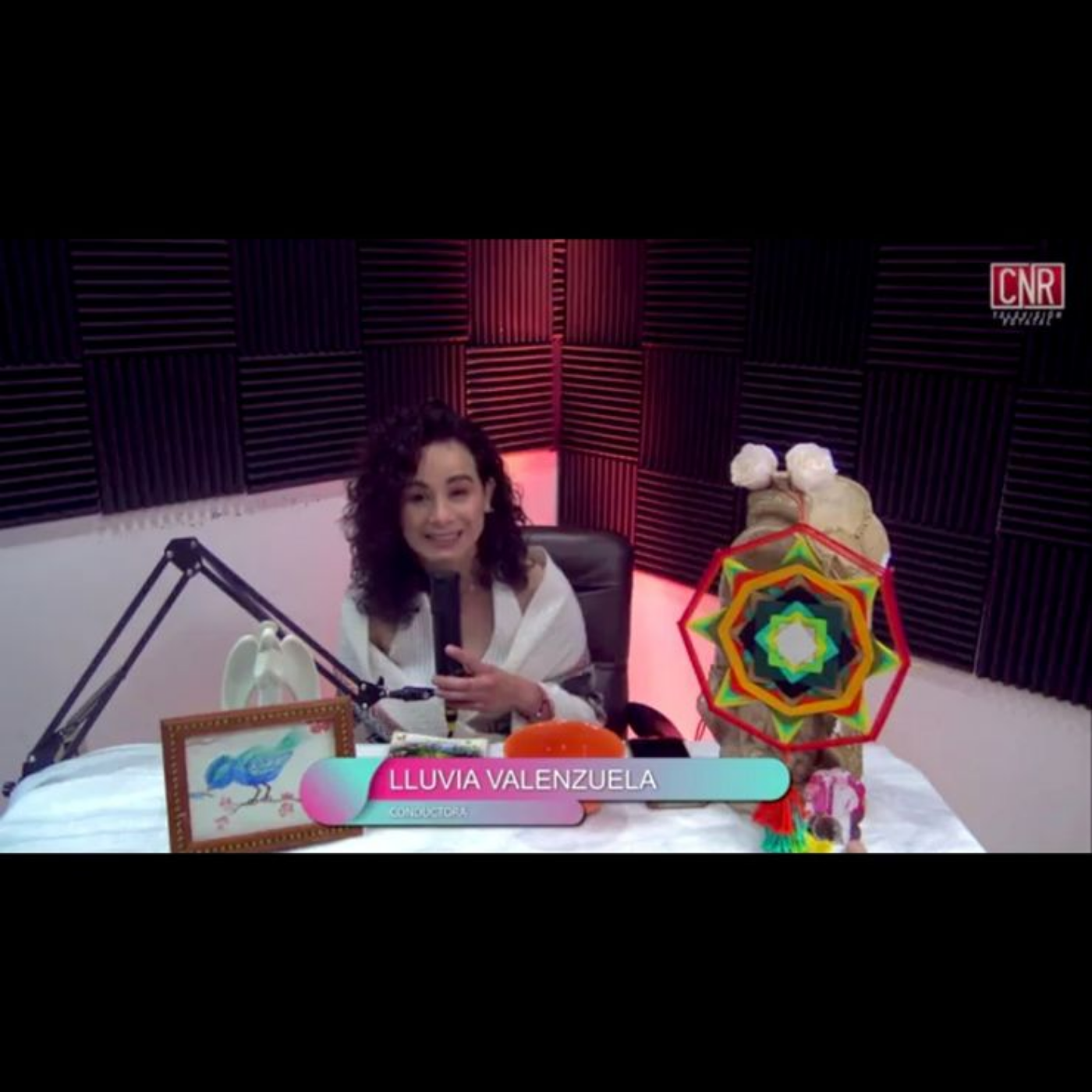 El Pájaro Cantador TV Podcast y AudioLibros