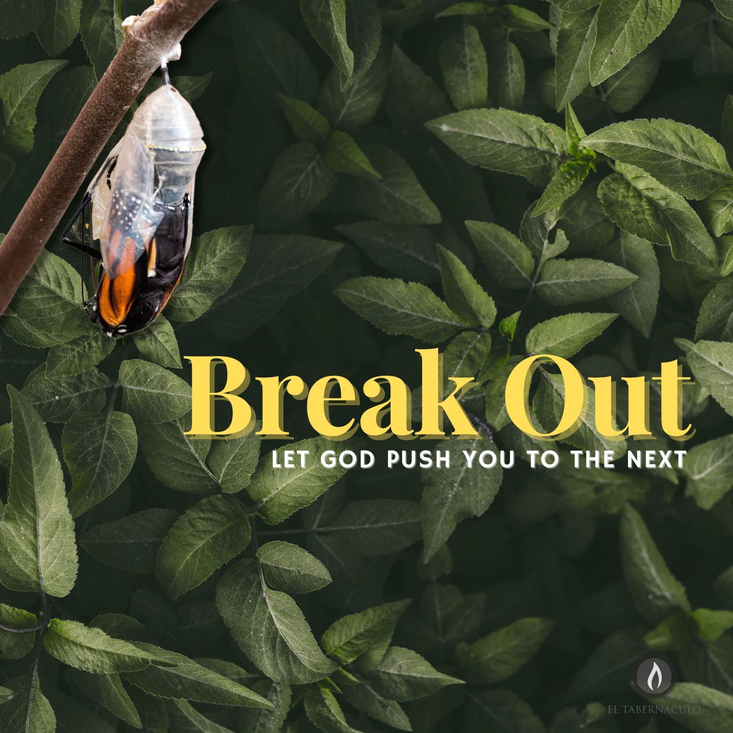 Break Out | Tatiana Cortes | July 2nd, 2023 episode artwork