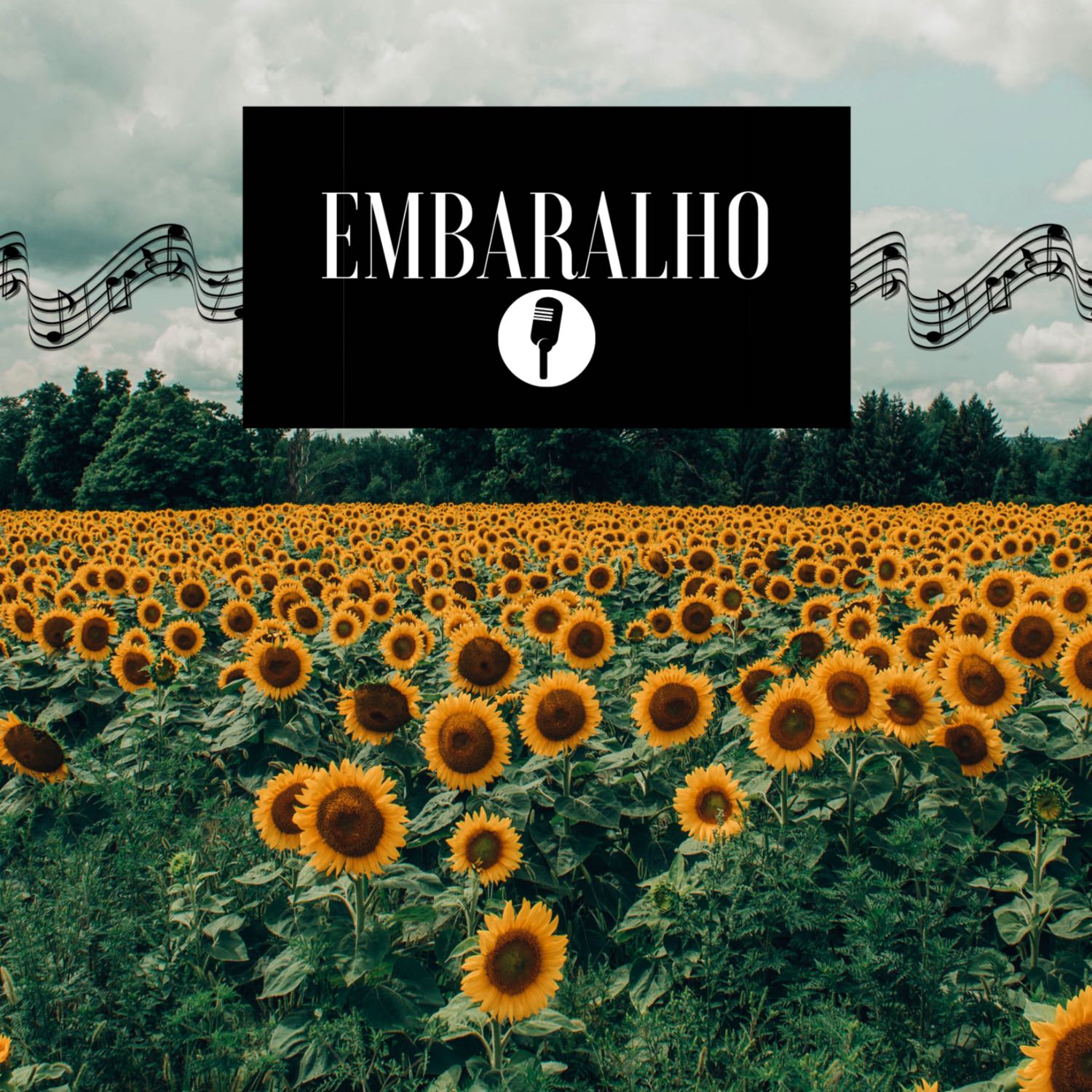 Embaralho