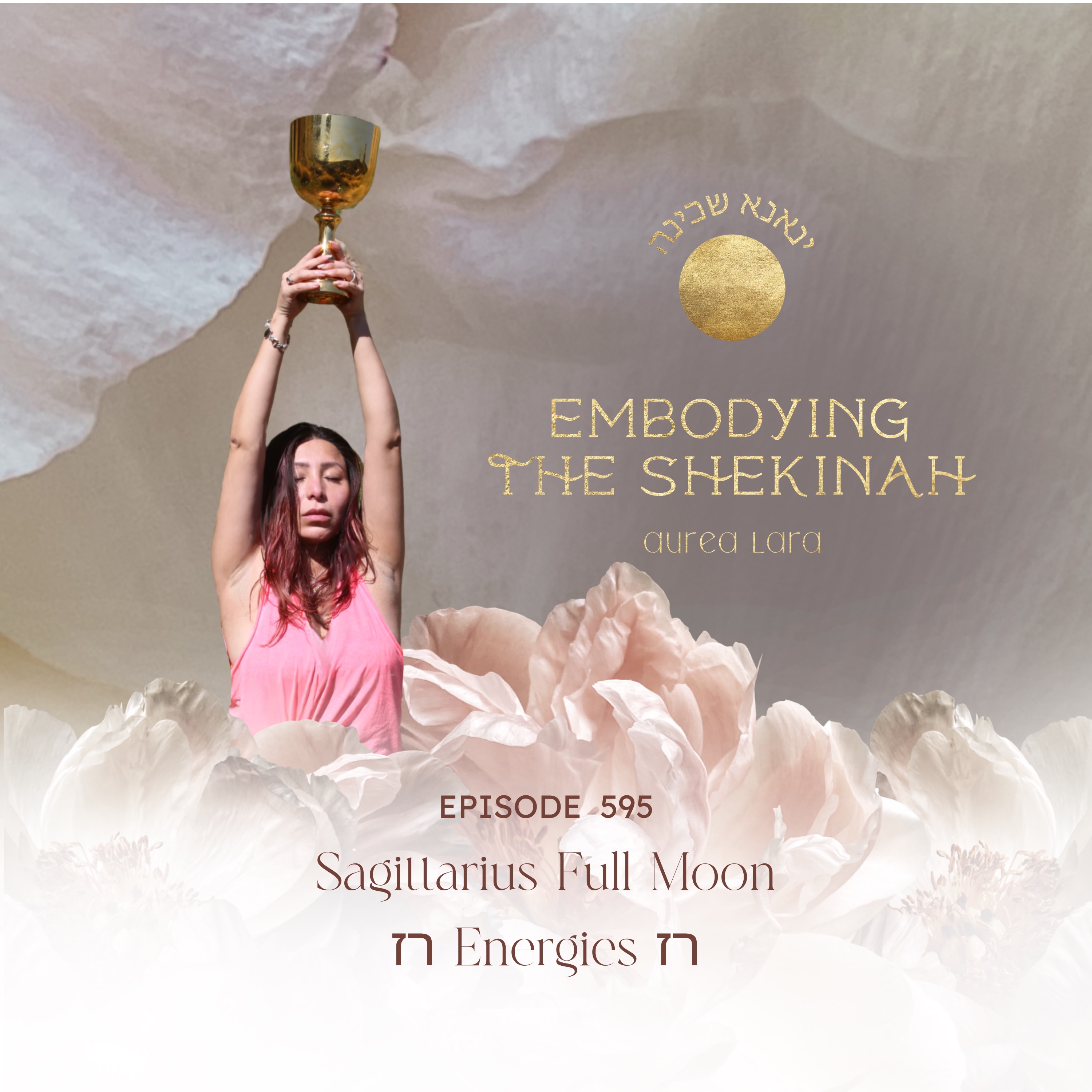 Podcast image for Sagittarius Full Moon Energies