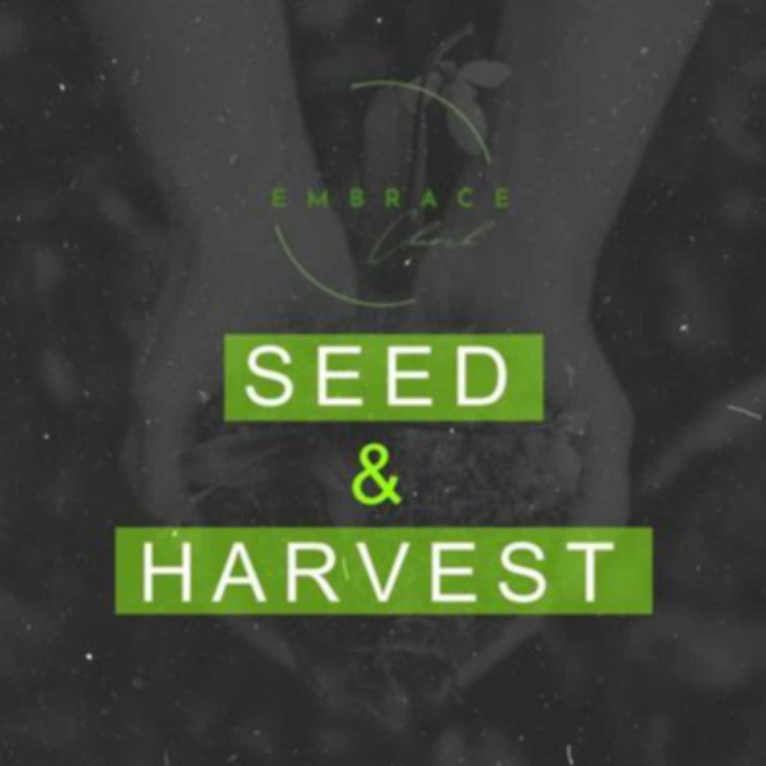Sow the Seed episode artwork