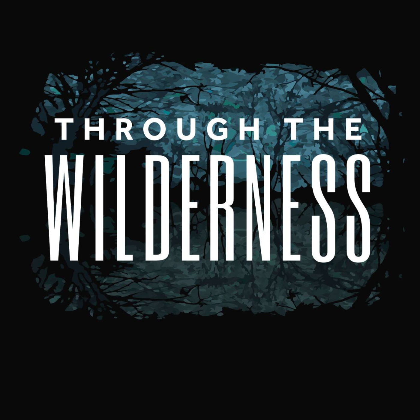 Through the Wilderness episode artwork