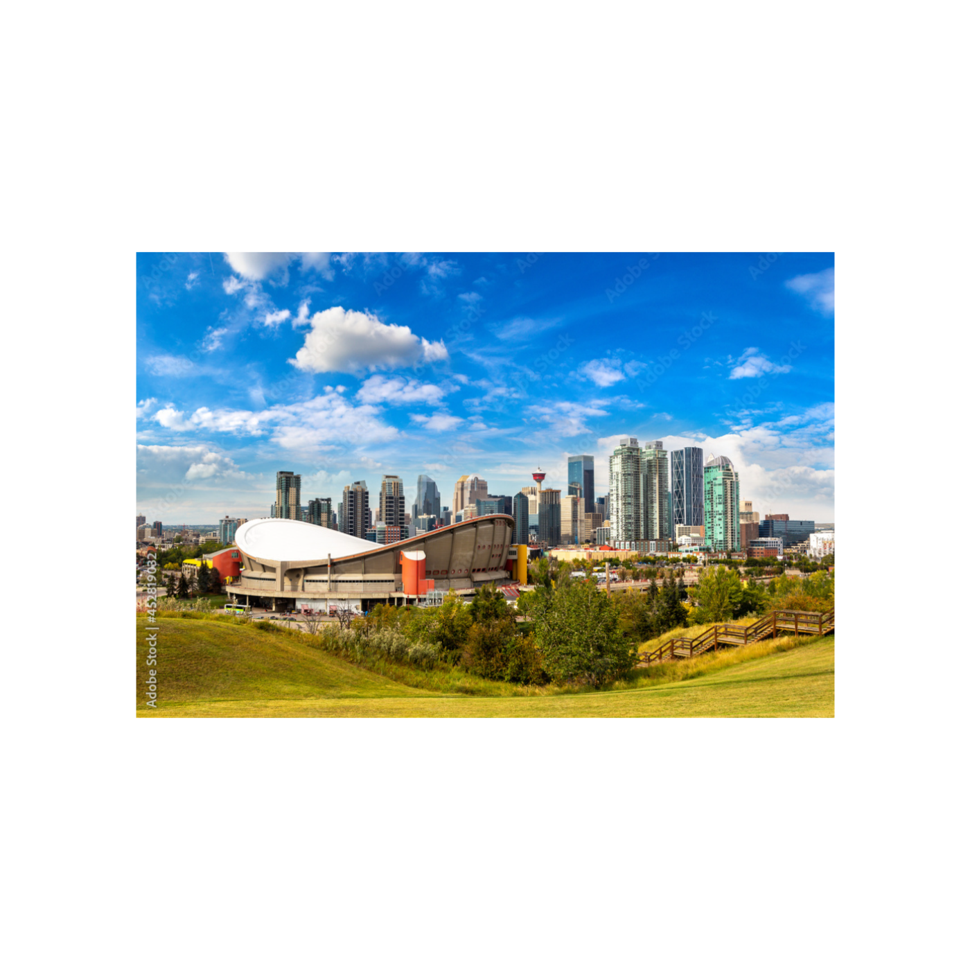 Embracing your first year in Calgary