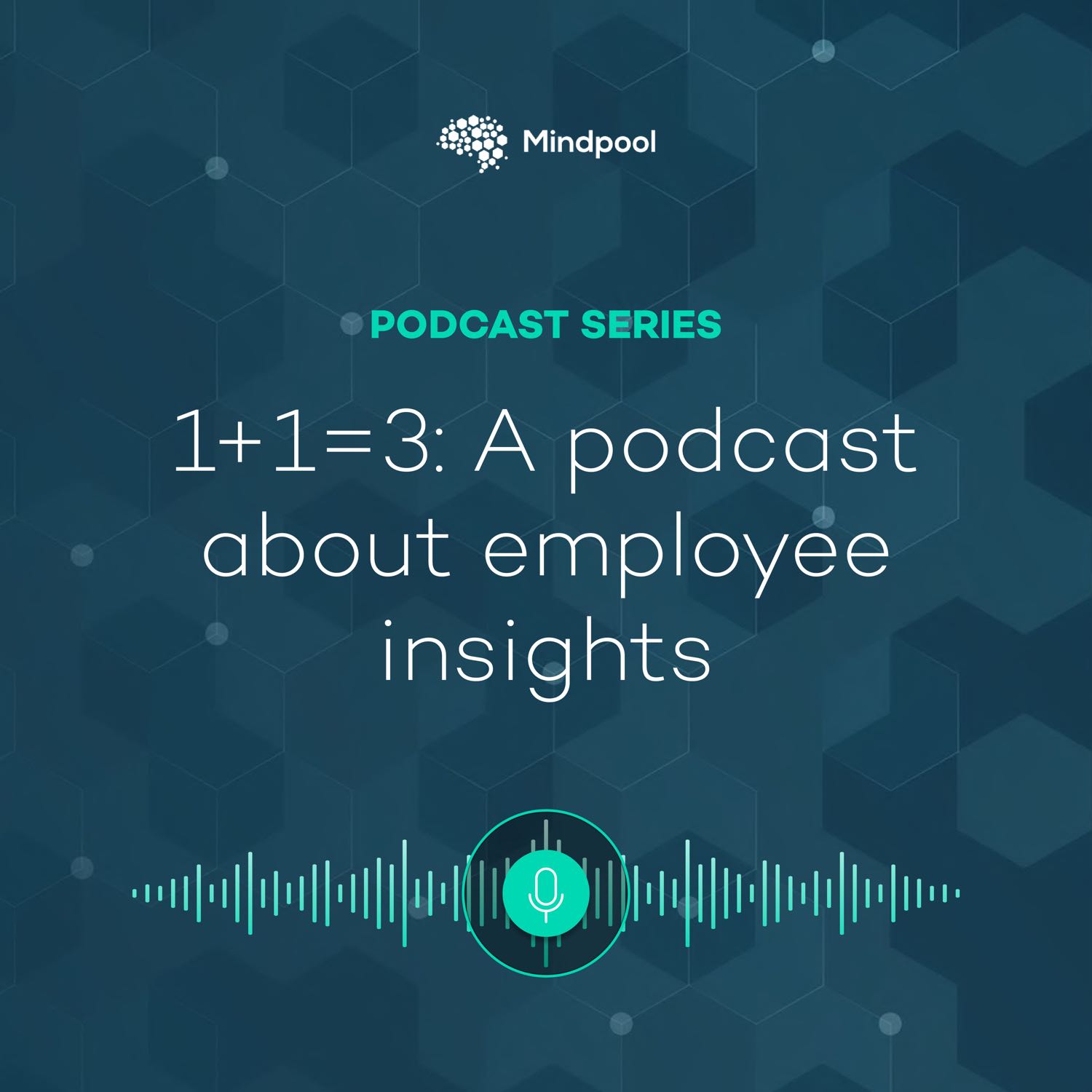 1+1=3: A podcast about employee insights