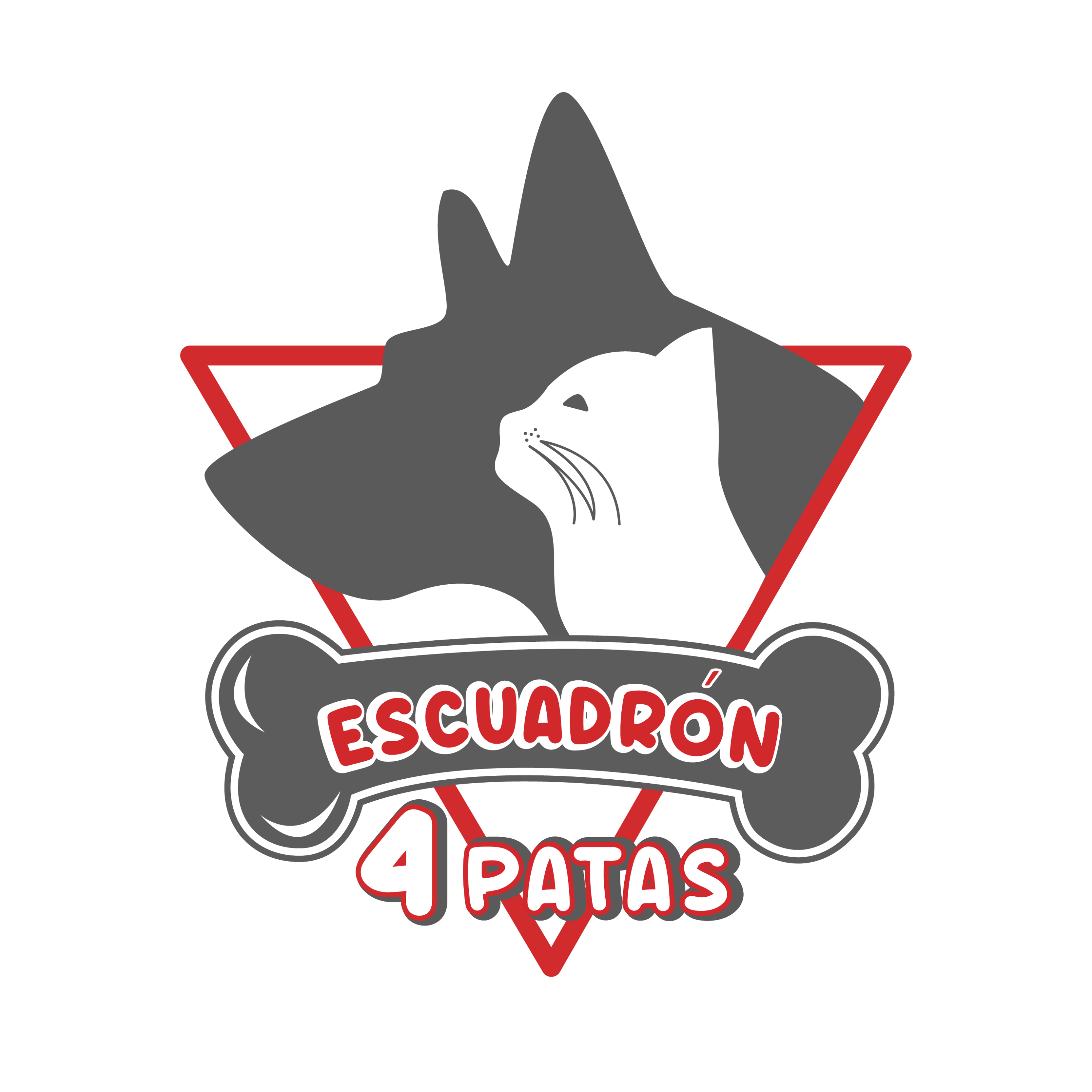 En busca de una segunda oportunidad