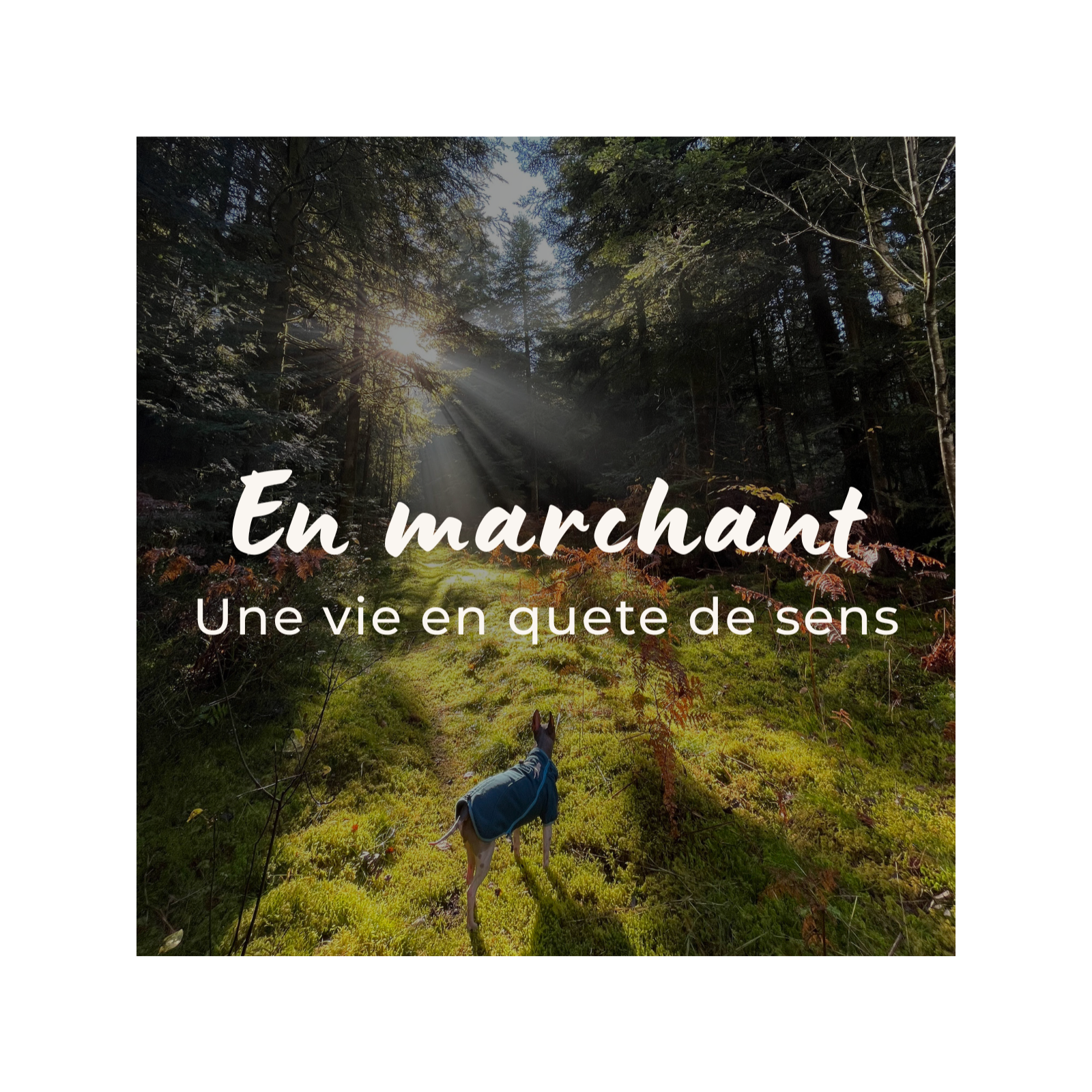 🌲🐕 En marchant — une vie en quête de sens