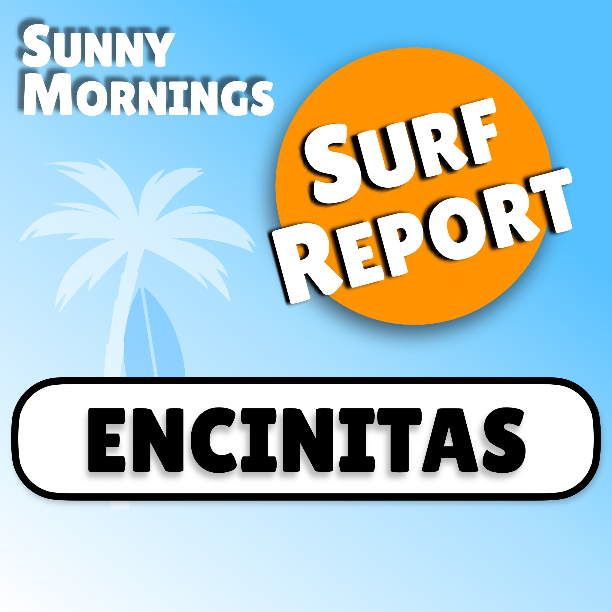 Encinitas Surf Report