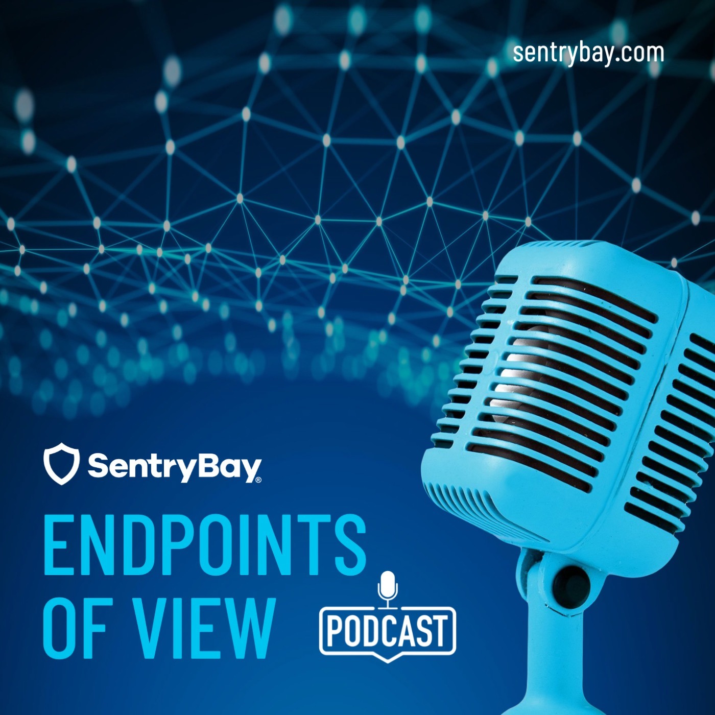 Endpoints Of View – Cybersecurity Podcast podcast artwork