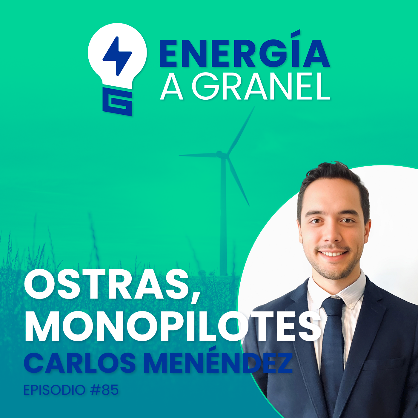 Energía a granel