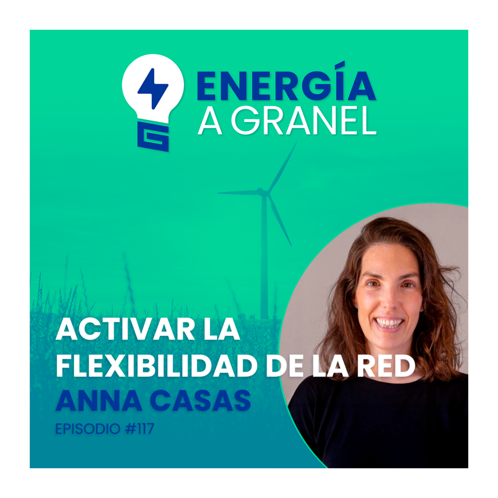«Activar la flexibilidad de la red», con Anna Casas (Octopus Energy) #117