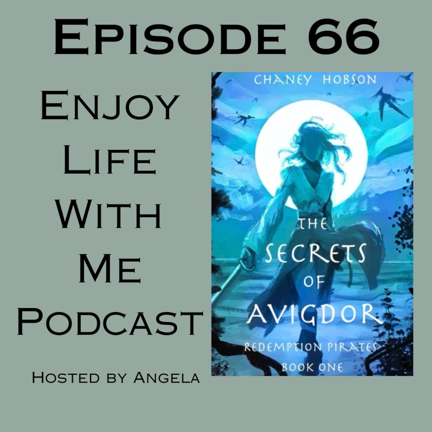 66 The Secrets of Avigdor (Redemption Pirates #1) by Chaney Hobson