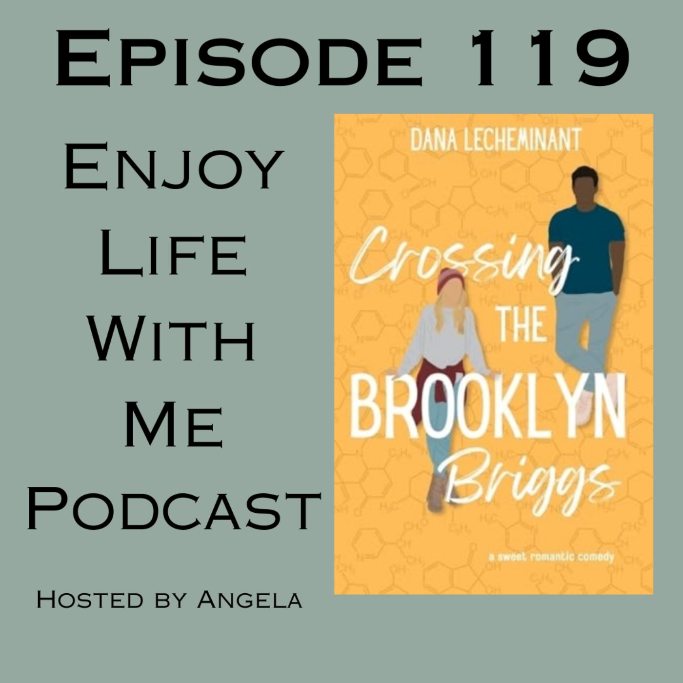 119 Crossing the Brooklyn Briggs (Love In Sun City #3) by Dana LeCheminant