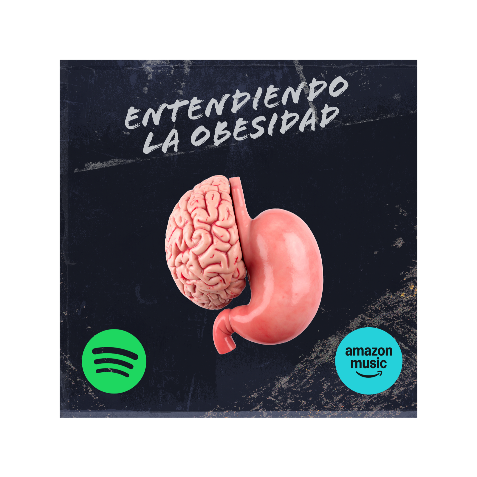 Episodio 4. La importancia del sueño en el control del peso. episode artwork