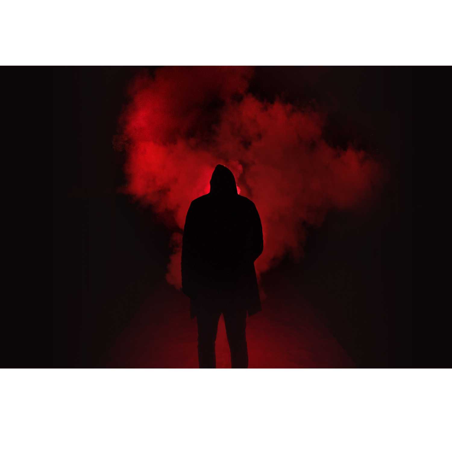 Enter The Shadow