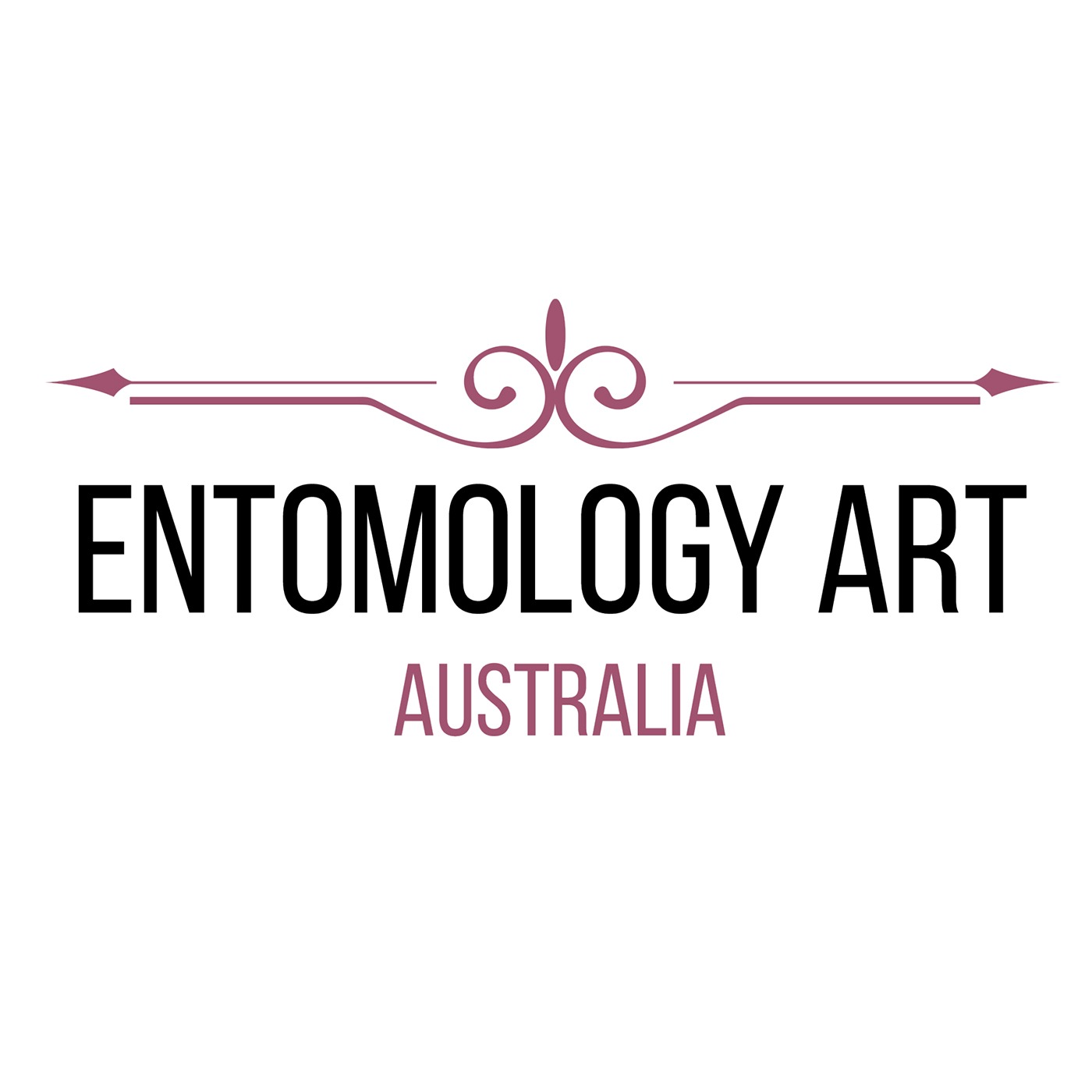 Testing and Progressing Our Website episode artwork