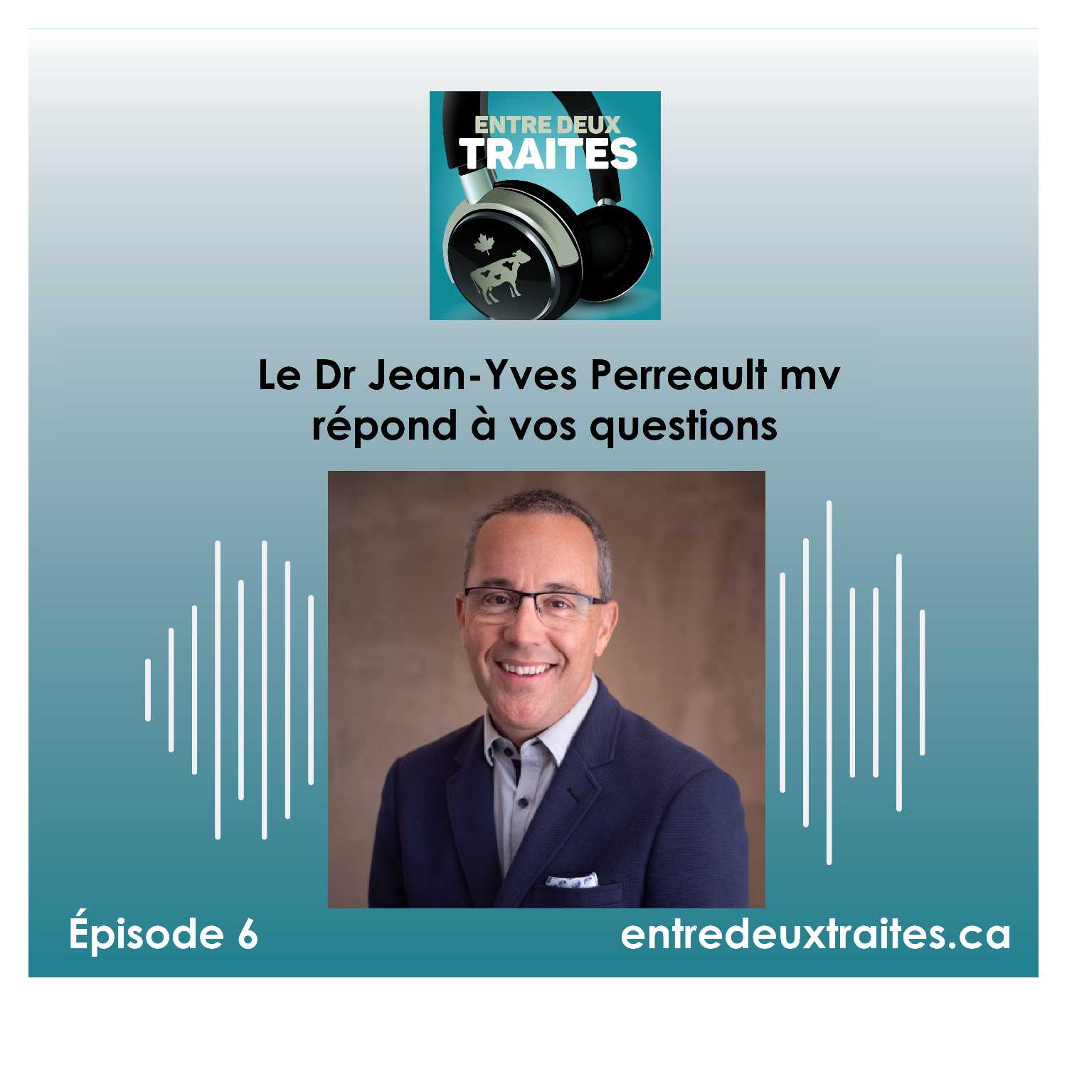Le Dr Jean-Yves Perreault mv répond à vos questions