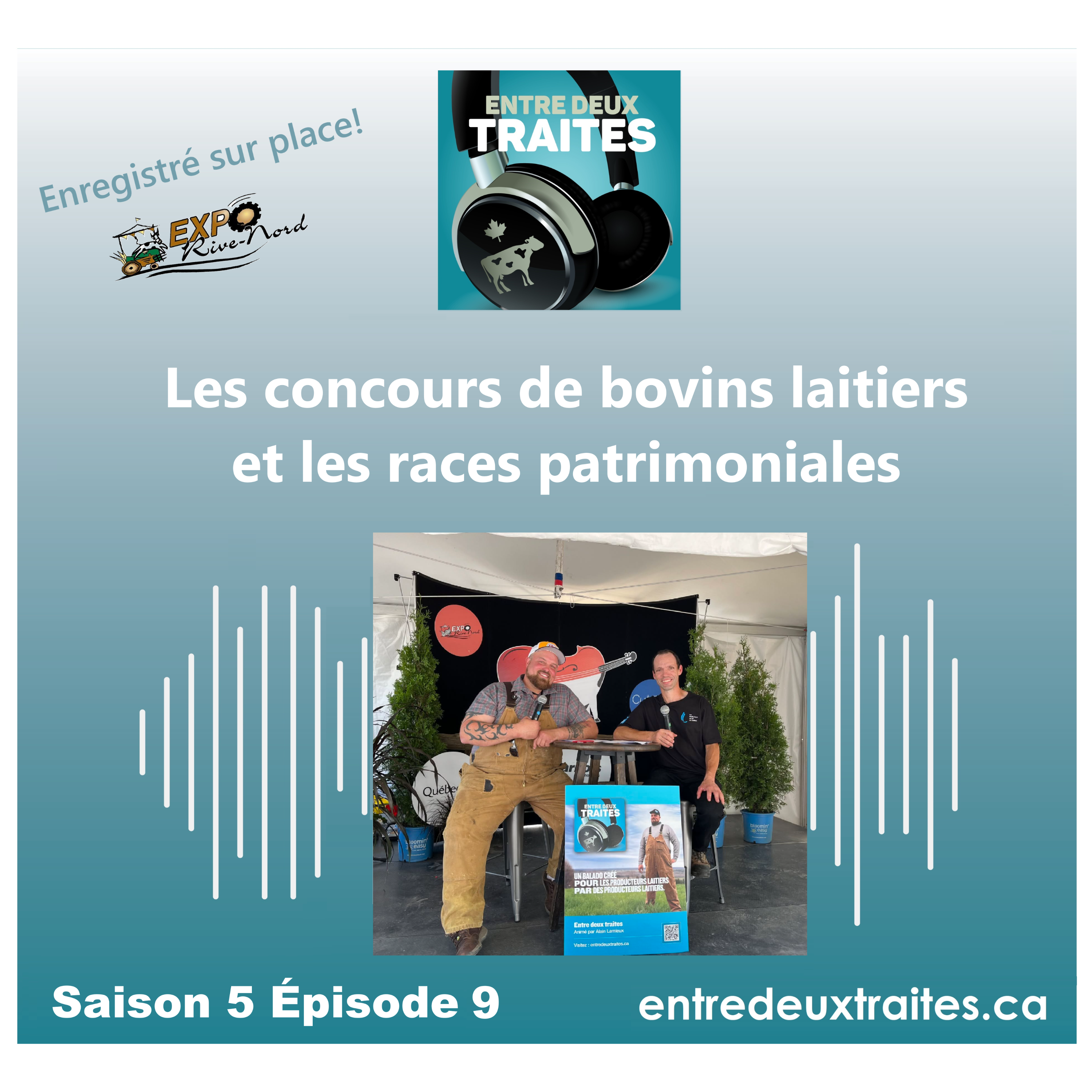 Les concours de bovins laitiers et les races patrimoniales