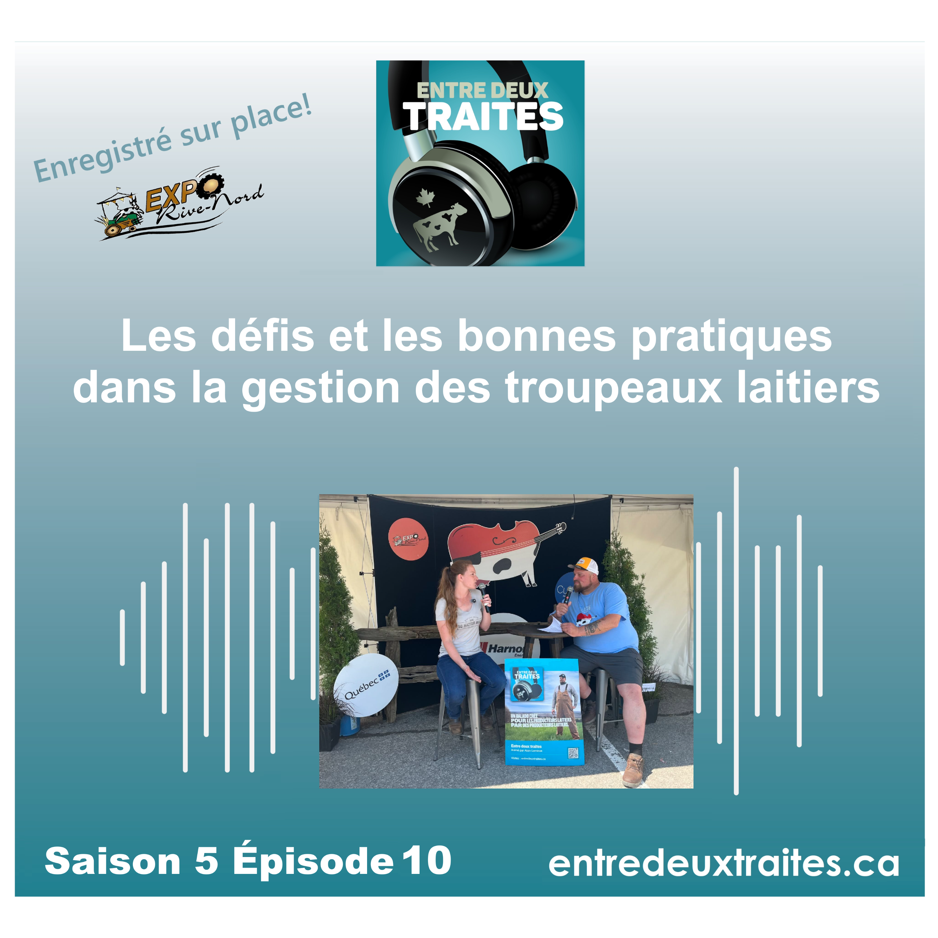 Les défis et les bonnes pratiques dans la gestion des troupeaux laitiers