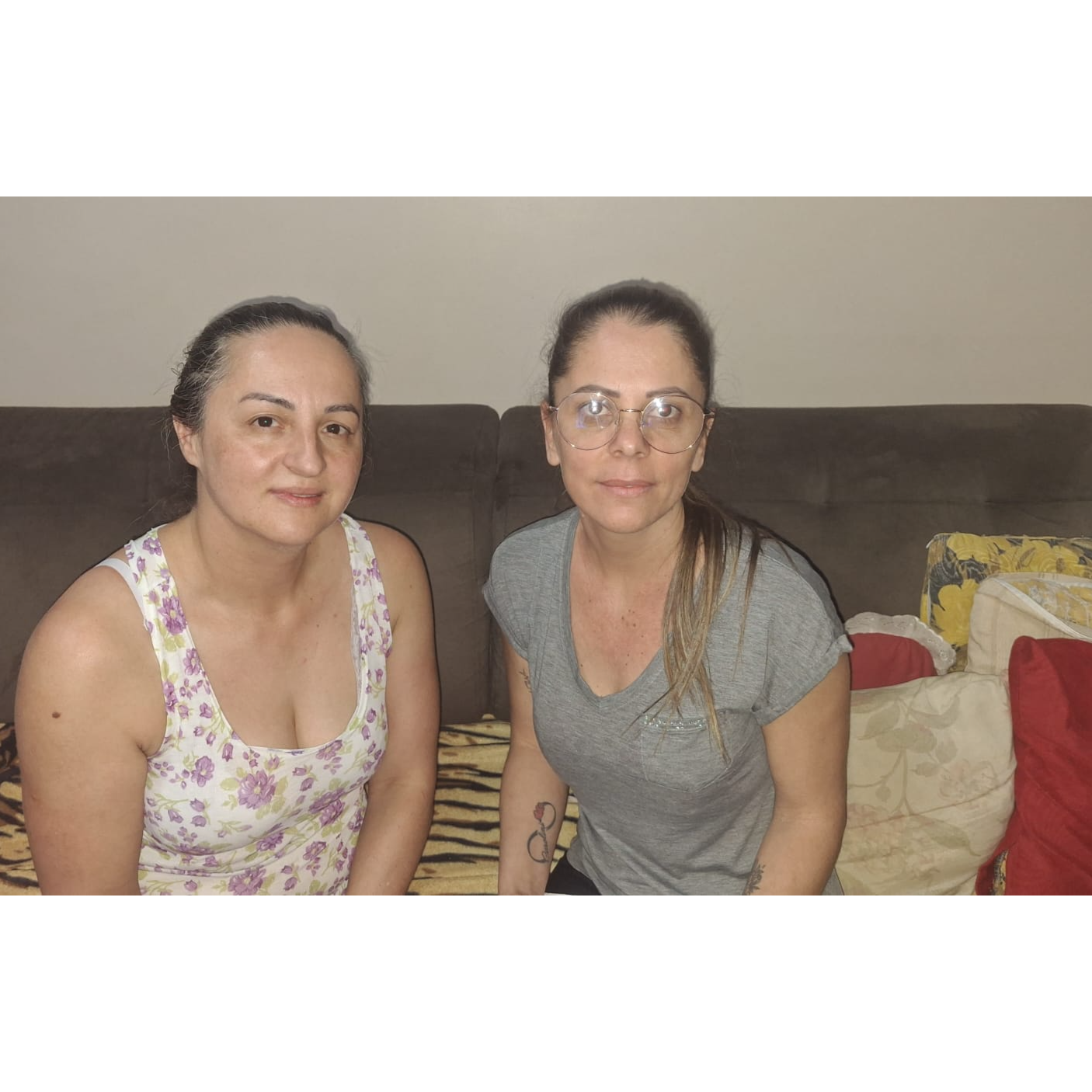 Entrevista com a professora Rosemar fritsche 