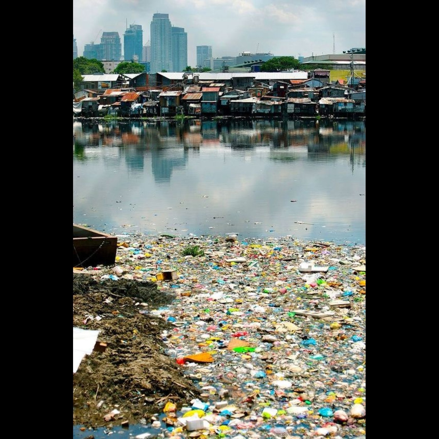 Environmental pollution