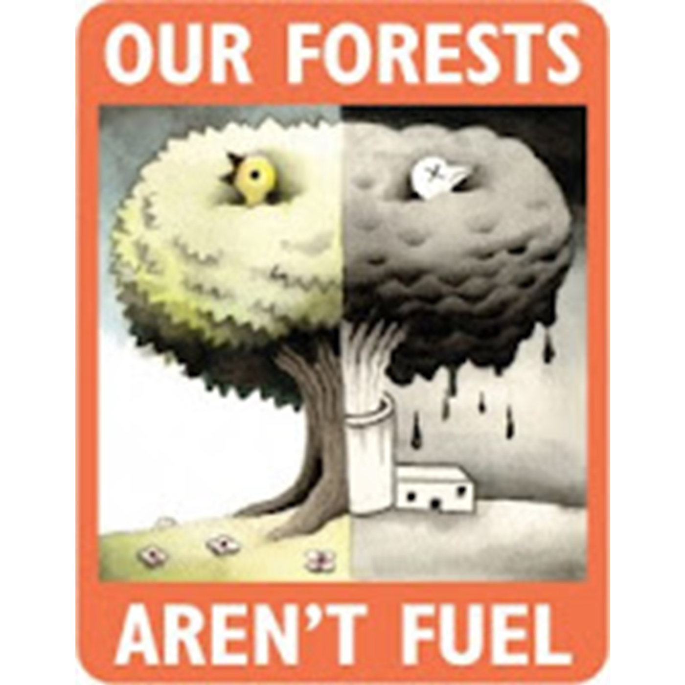 The Enviro Show