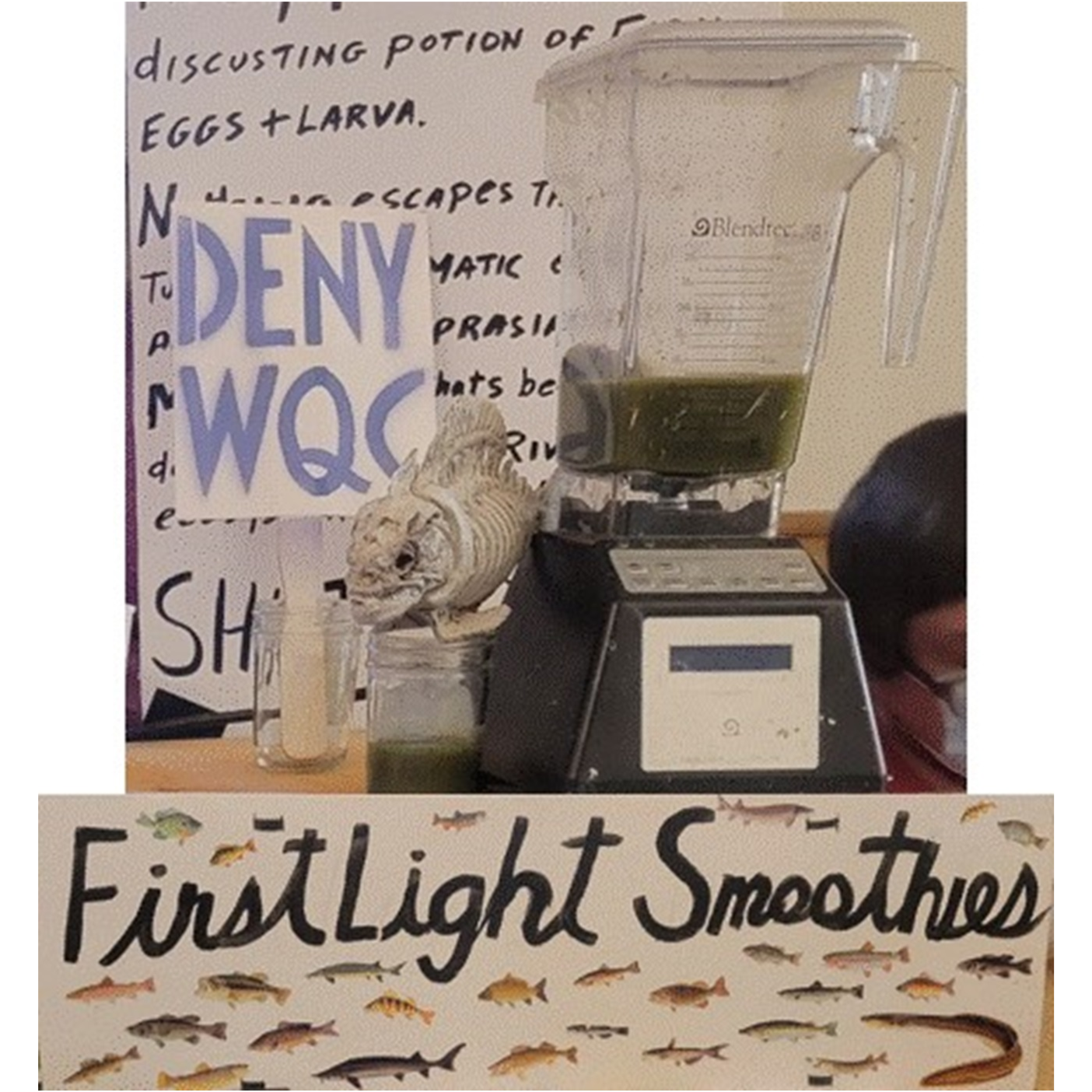 The Enviro Show