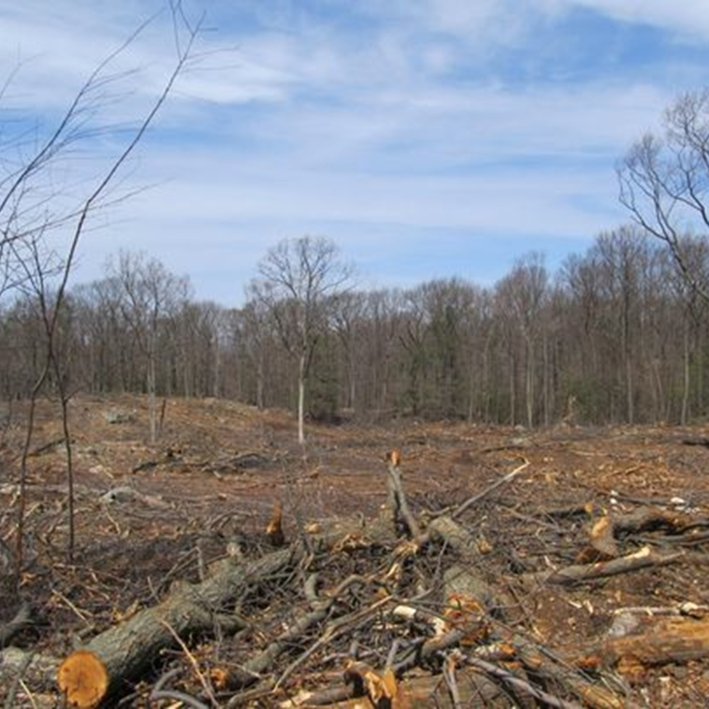 The Enviro Show
