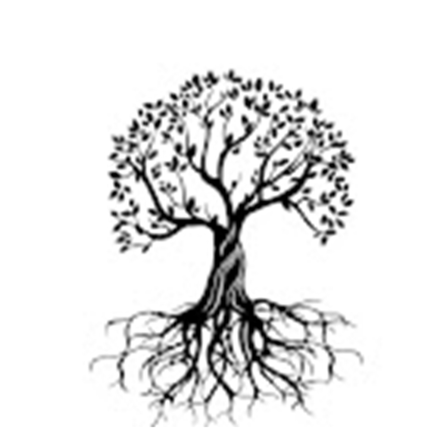 The Enviro Show