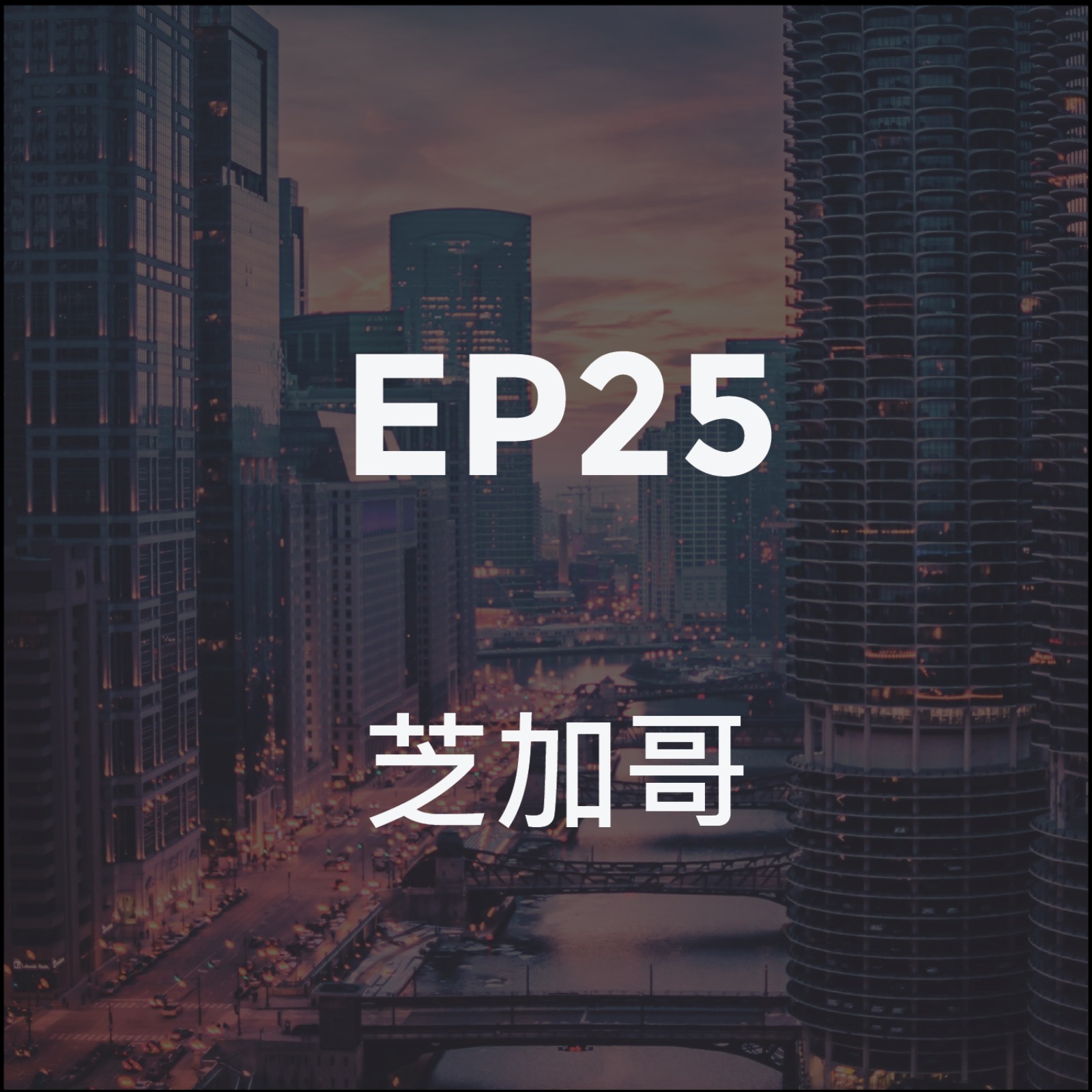 第二十五集 芝加哥 硬核文化