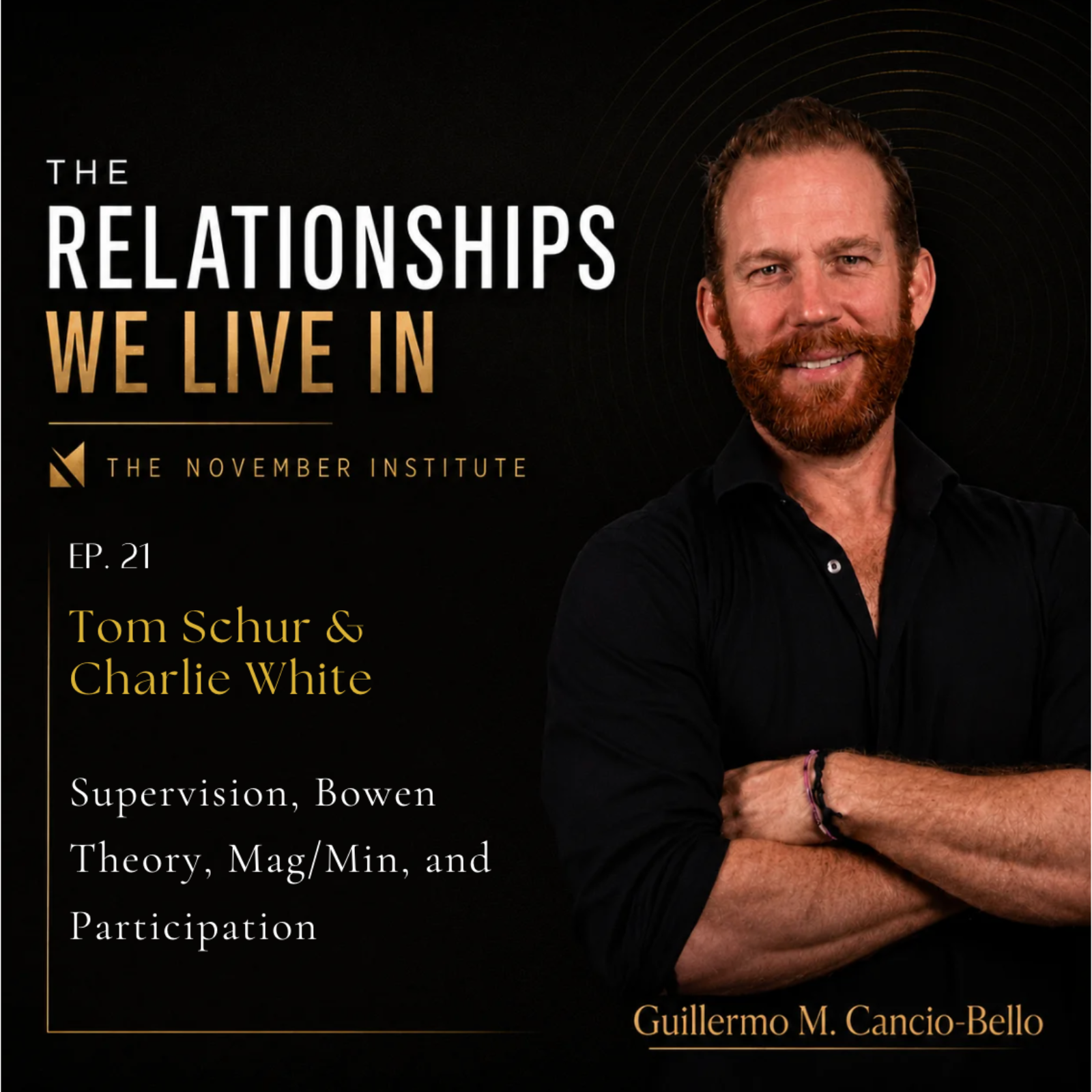 Ep. 21 - Tom Schur & Charlie White | Bowen Theory, Mag-Min model, Supervision, and Participation episode artwork