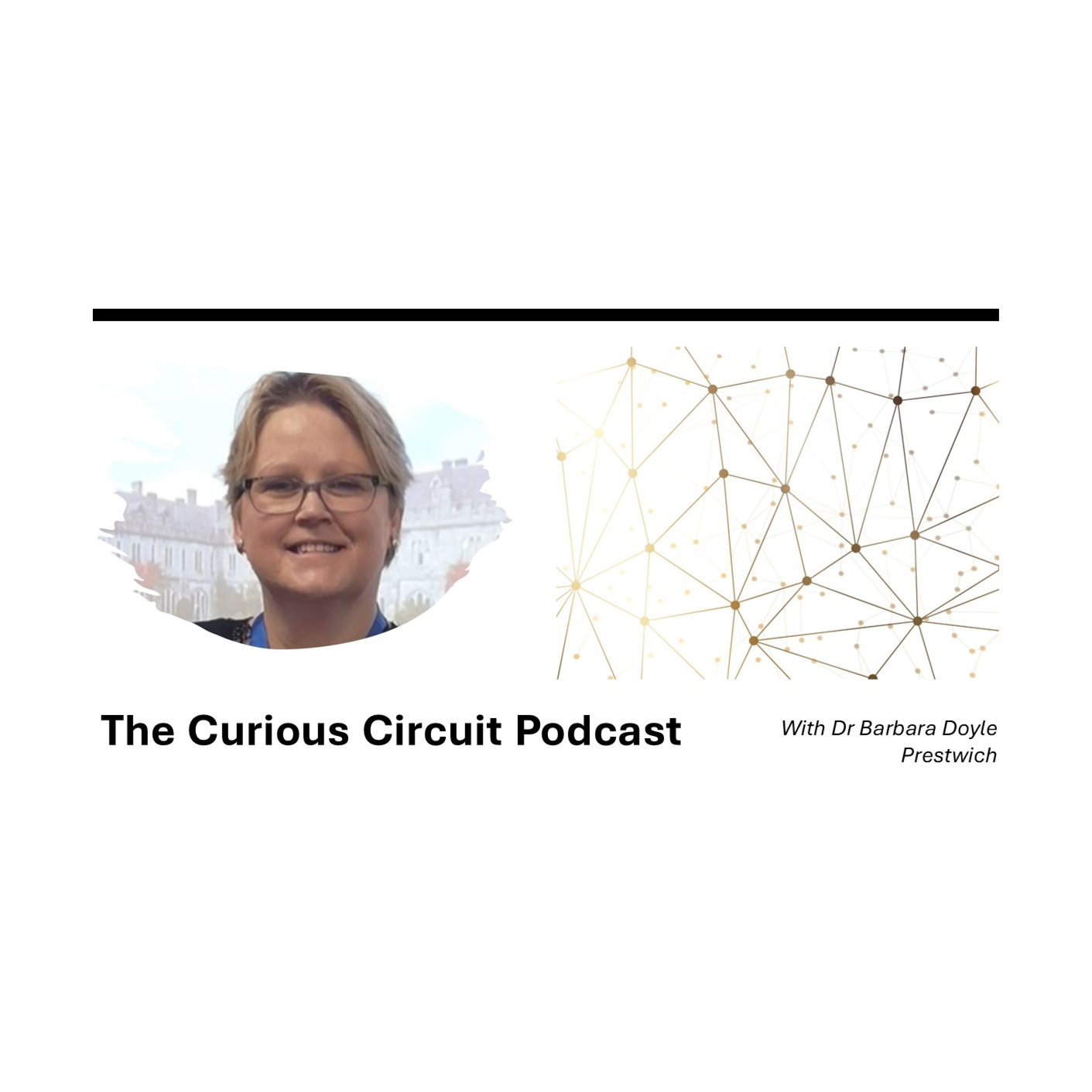 The Curious Circuit 