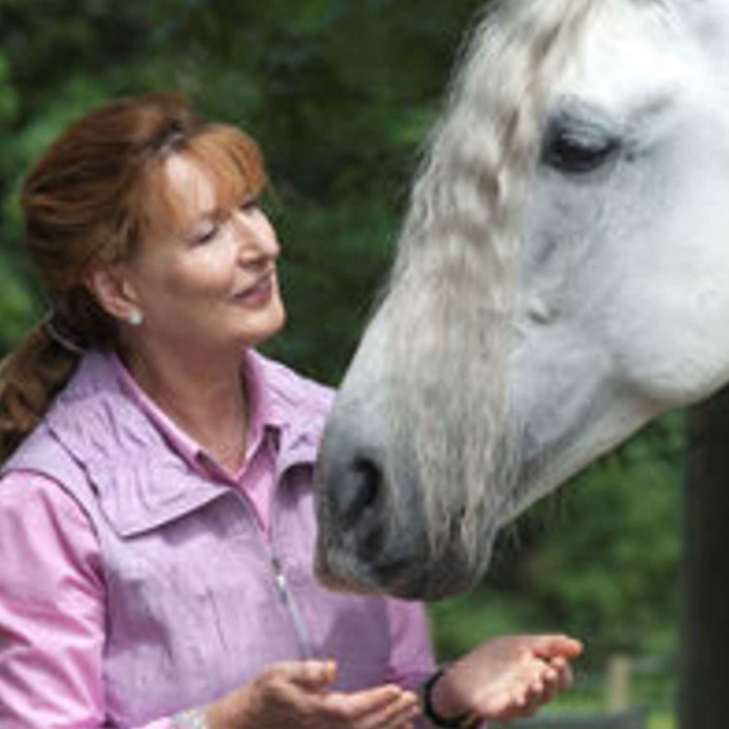 Equine Alchemy\'s Horse Wisdom in Life and Coaching!