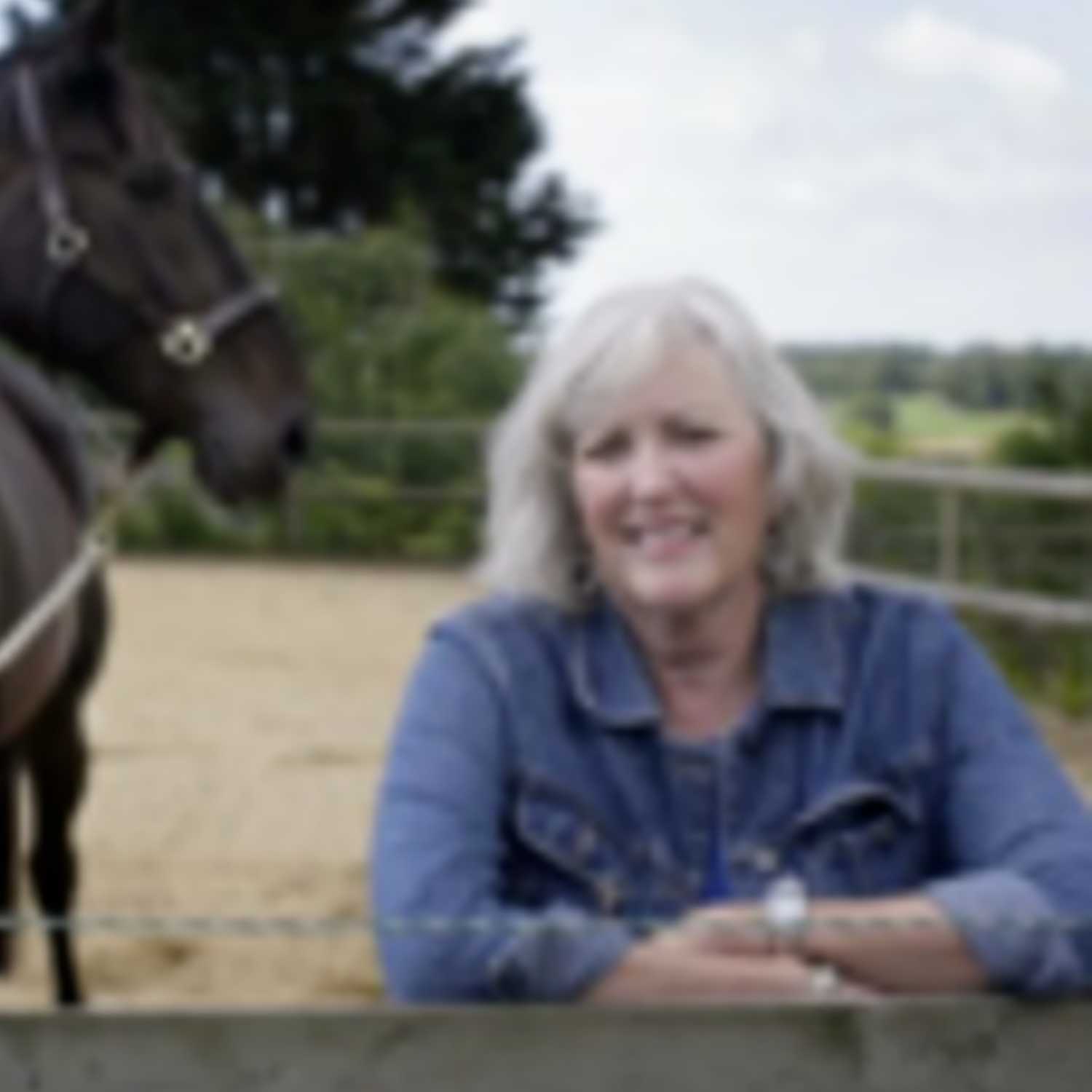 Equine Alchemy\'s Horse Wisdom in Life and Coaching!