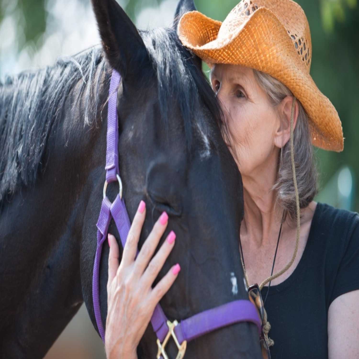 Equine Alchemy\'s Horse Wisdom in Life and Coaching!