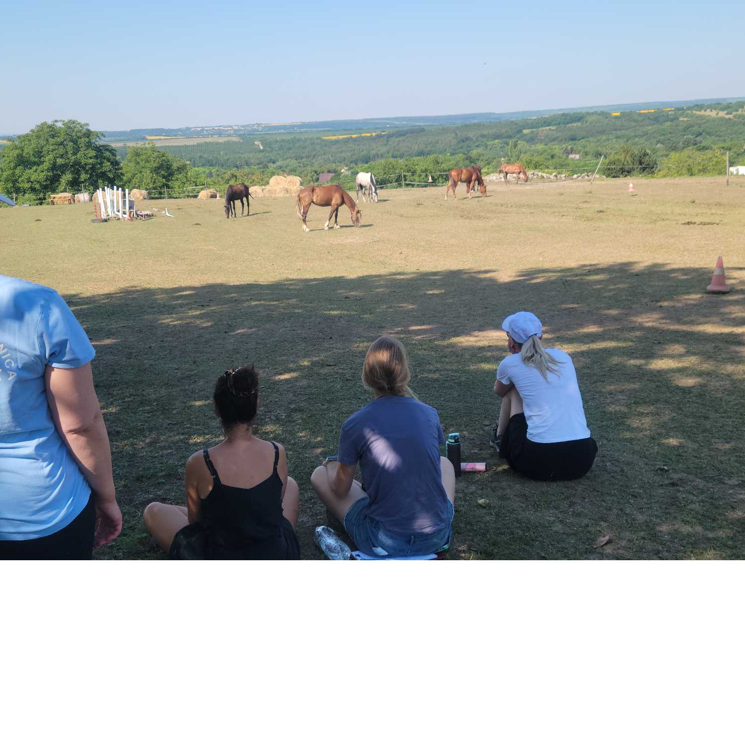 Equine Alchemy\'s Horse Wisdom in Life and Coaching!