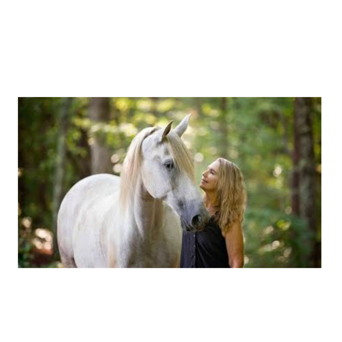 Equine Alchemy\'s Horse Wisdom in Life and Coaching!