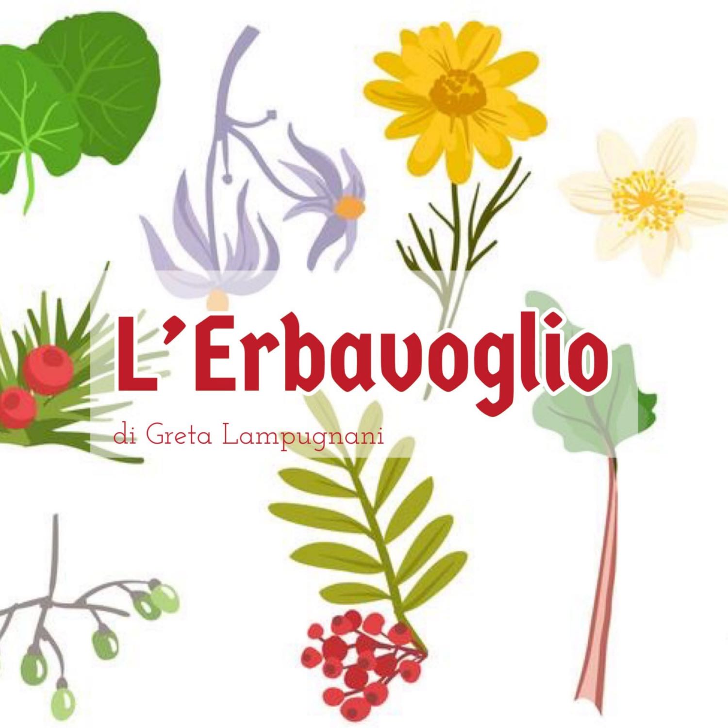 L’Erbavoglio