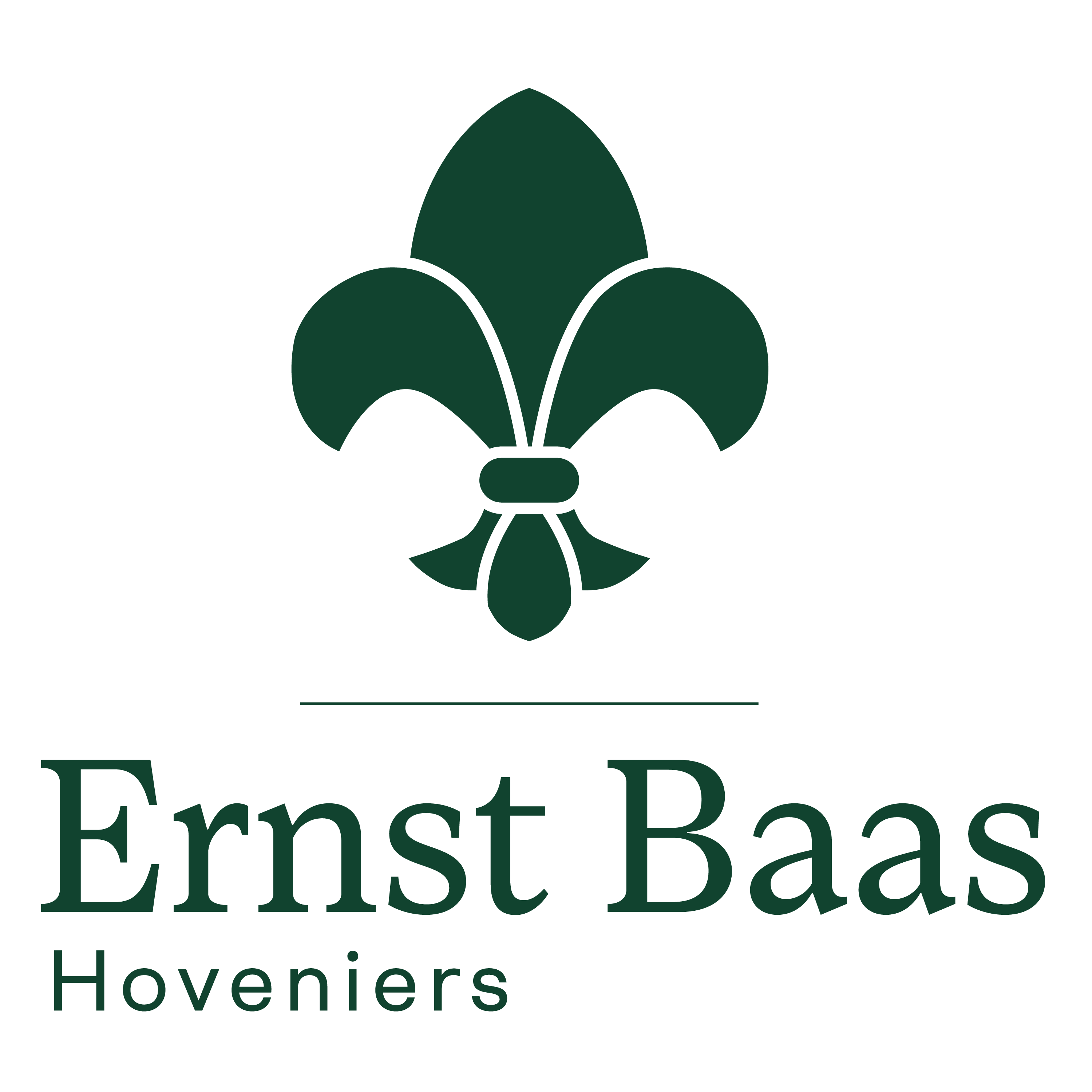 Ernst Baas: Dakterras van hoog niveau