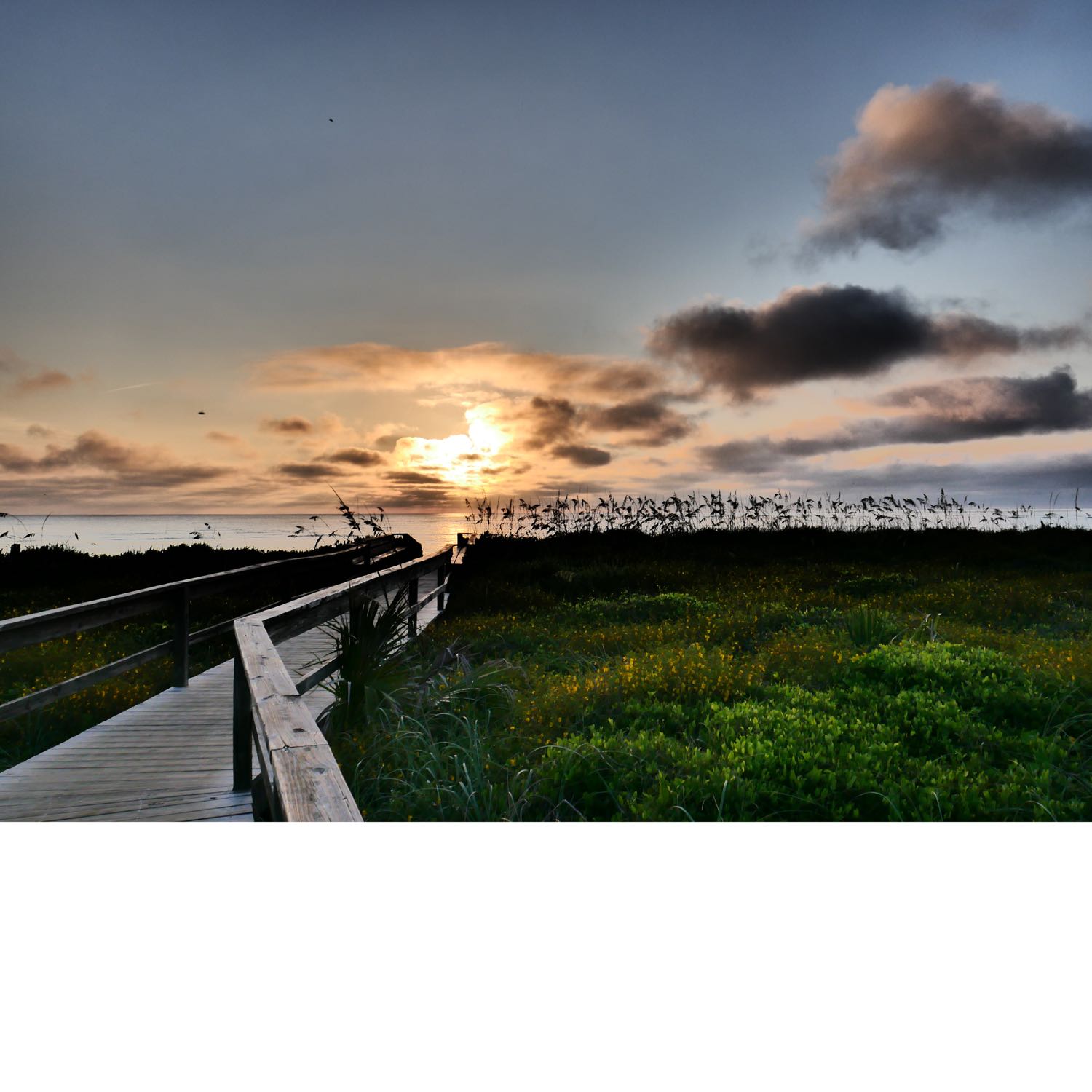 CONFESSIONS OF A FORMER CALL GIRL