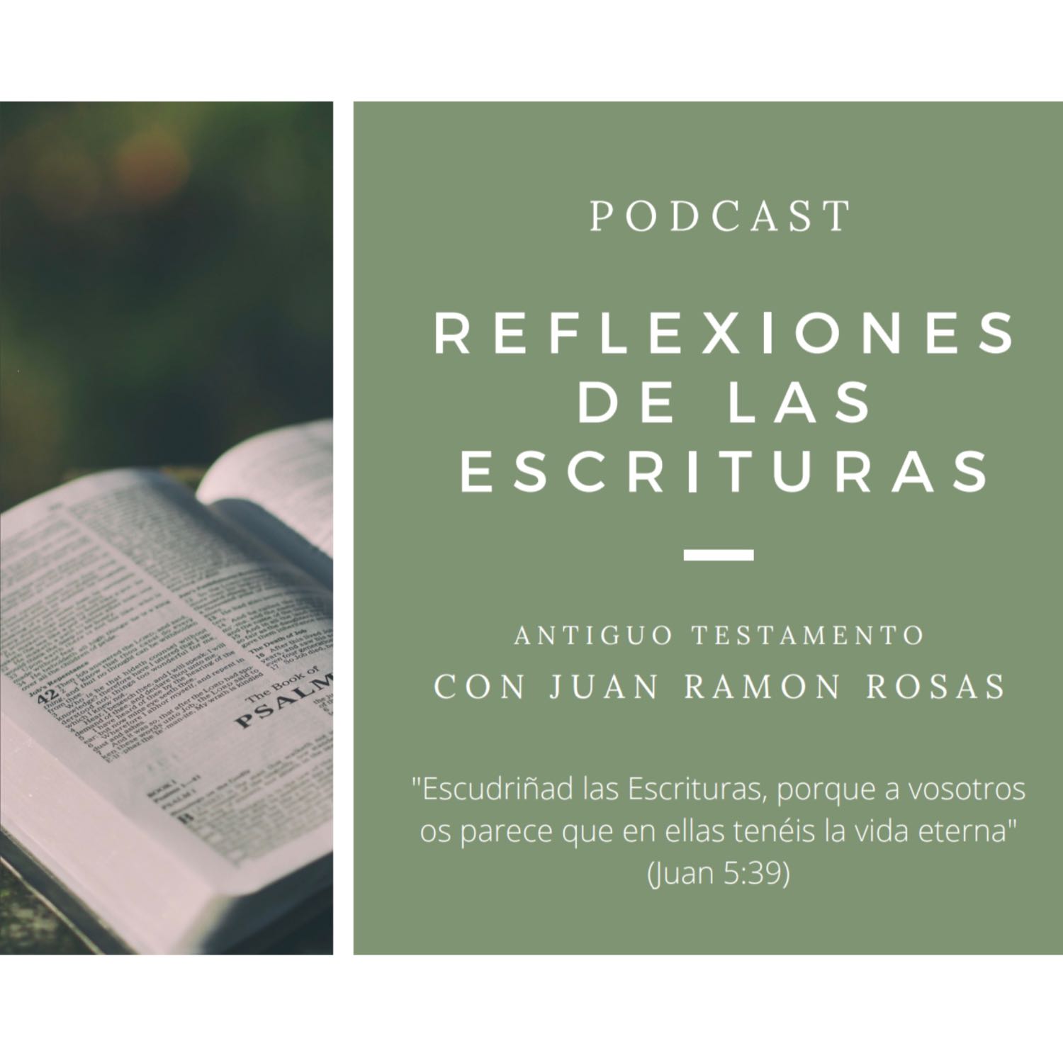 Reflexiones de las Escrituras: Doctrina y Convenios