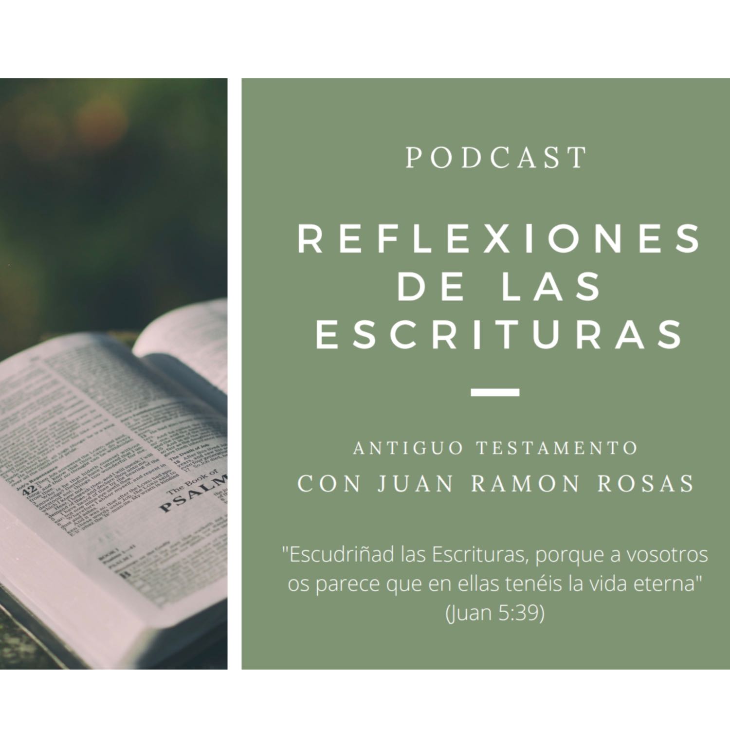 Reflexiones de las Escrituras: Doctrina y Convenios