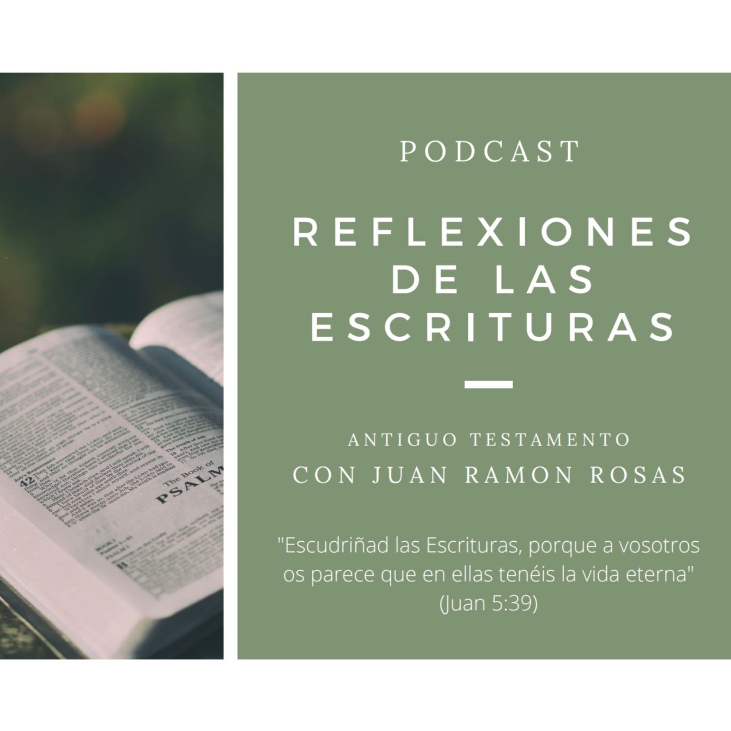 Reflexiones de las Escrituras: Doctrina y Convenios