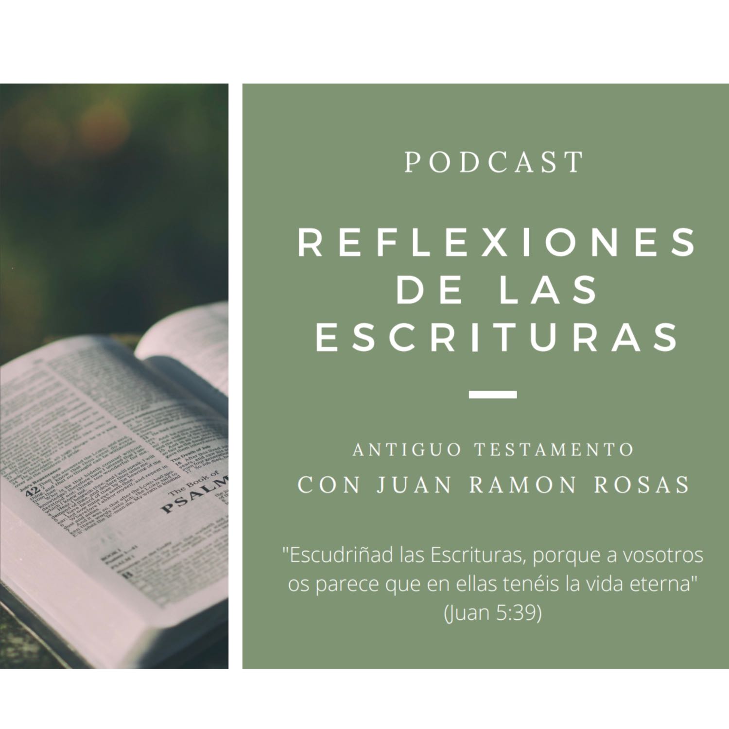 Reflexiones de las Escrituras: Doctrina y Convenios