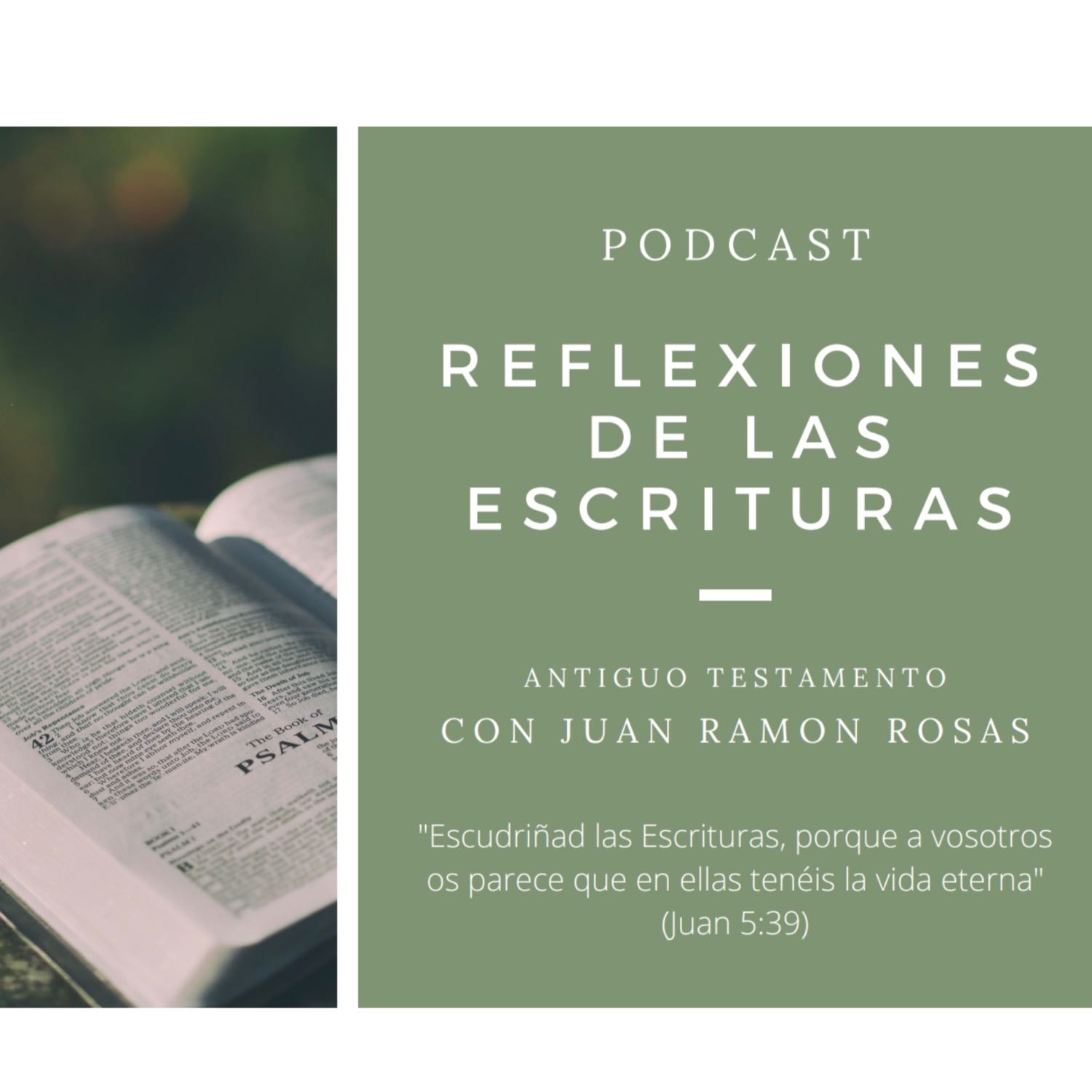 Reflexiones de las Escrituras: Doctrina y Convenios